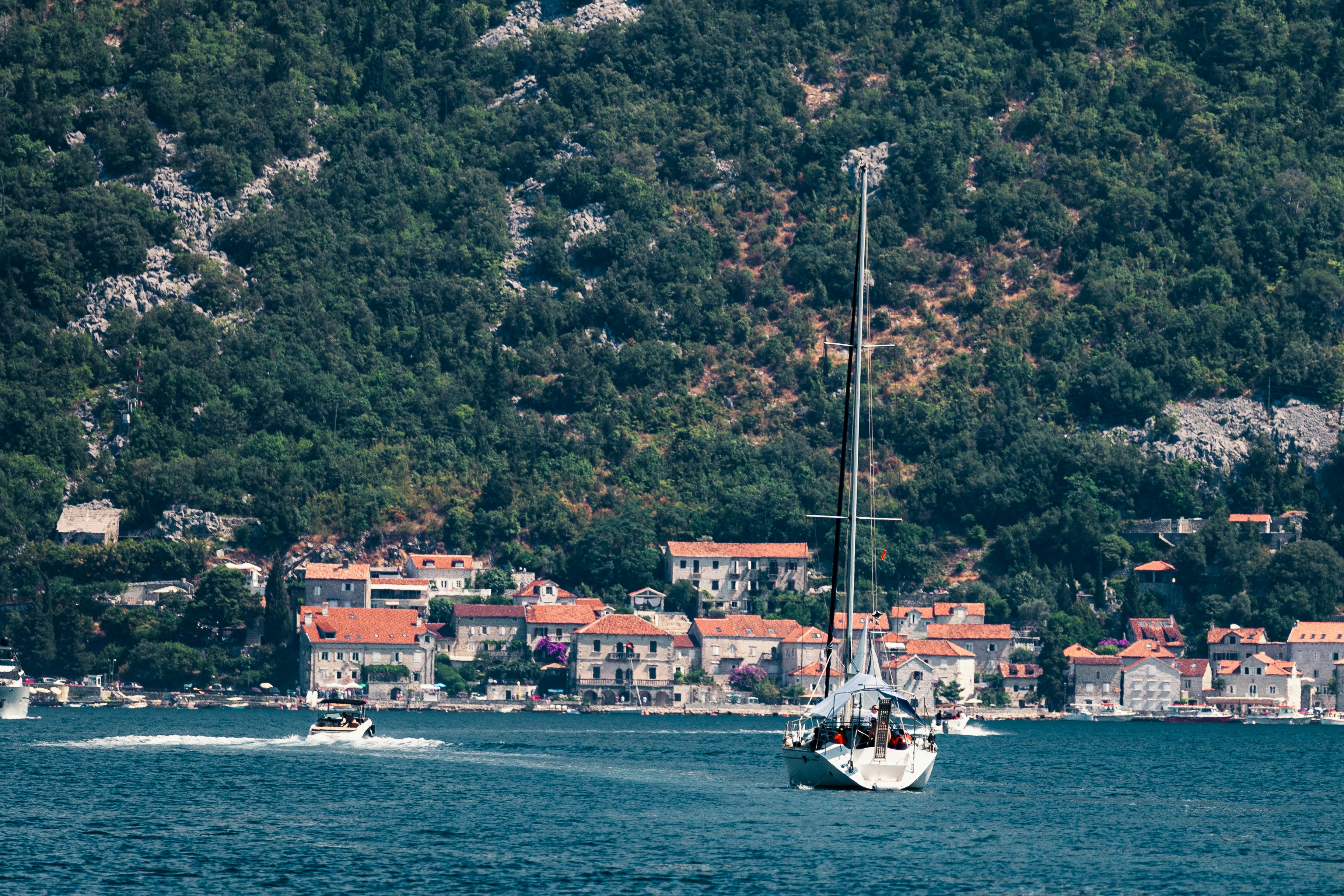 Photo by thestefankostic