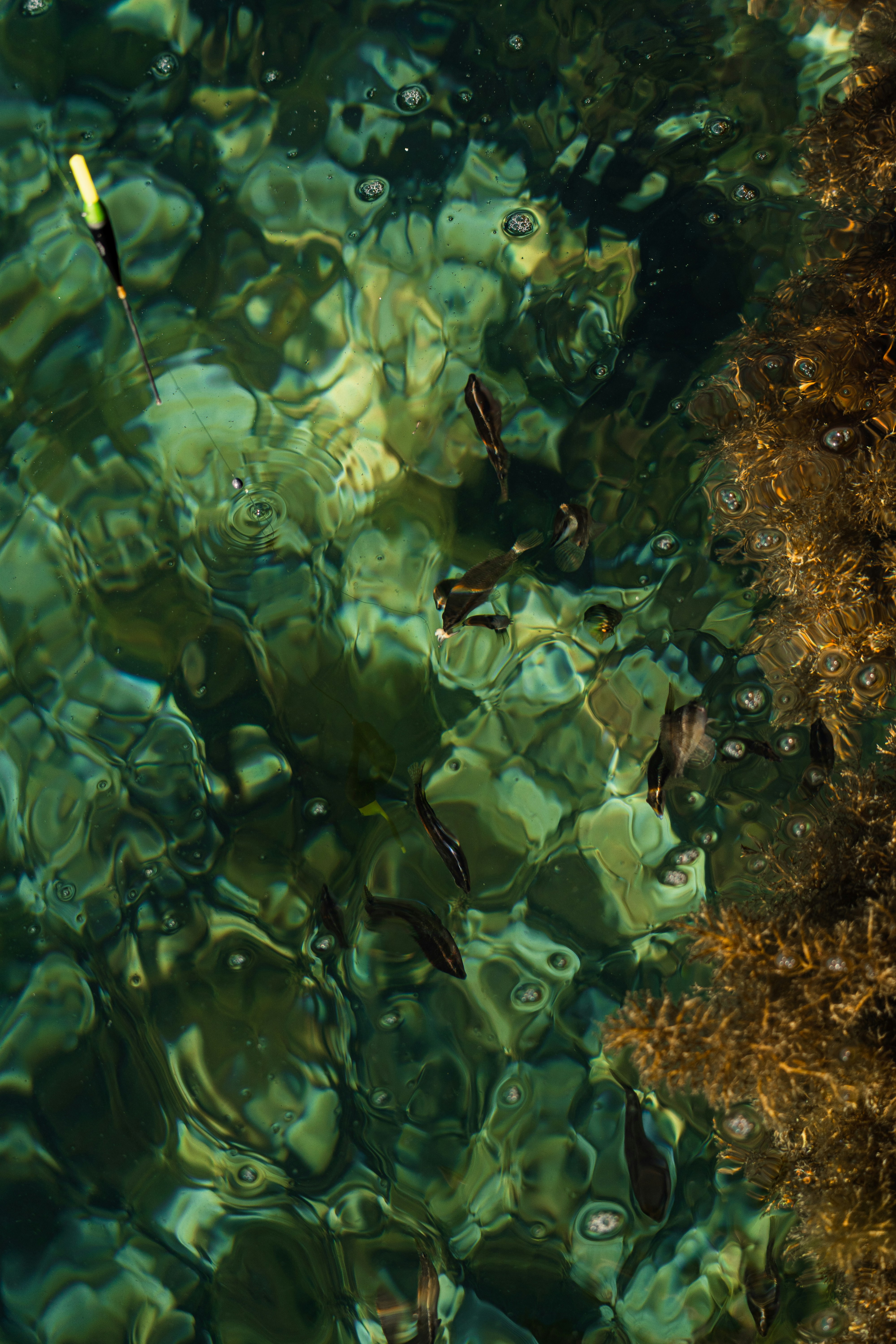 Photo by thestefankostic