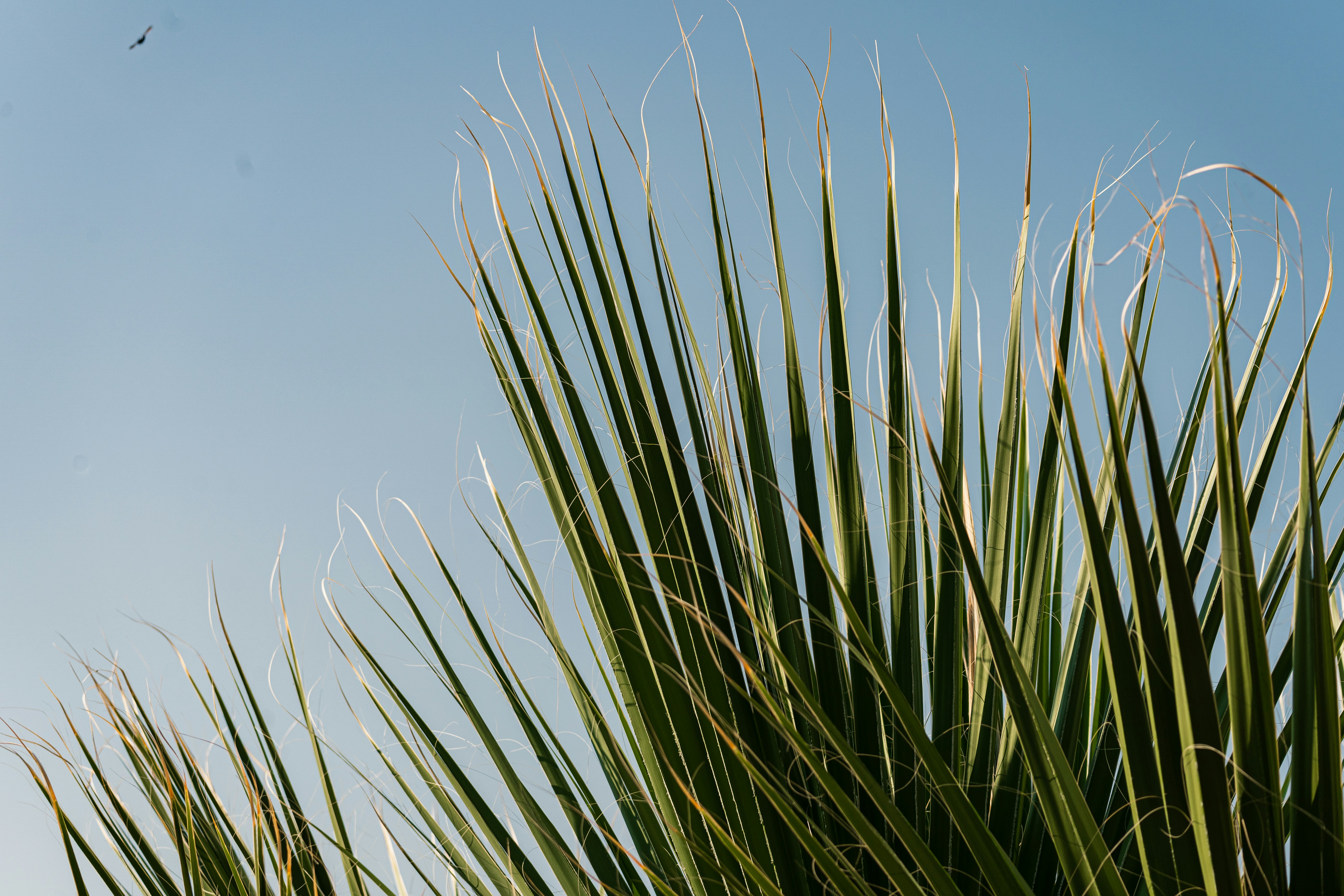 Photo by thestefankostic