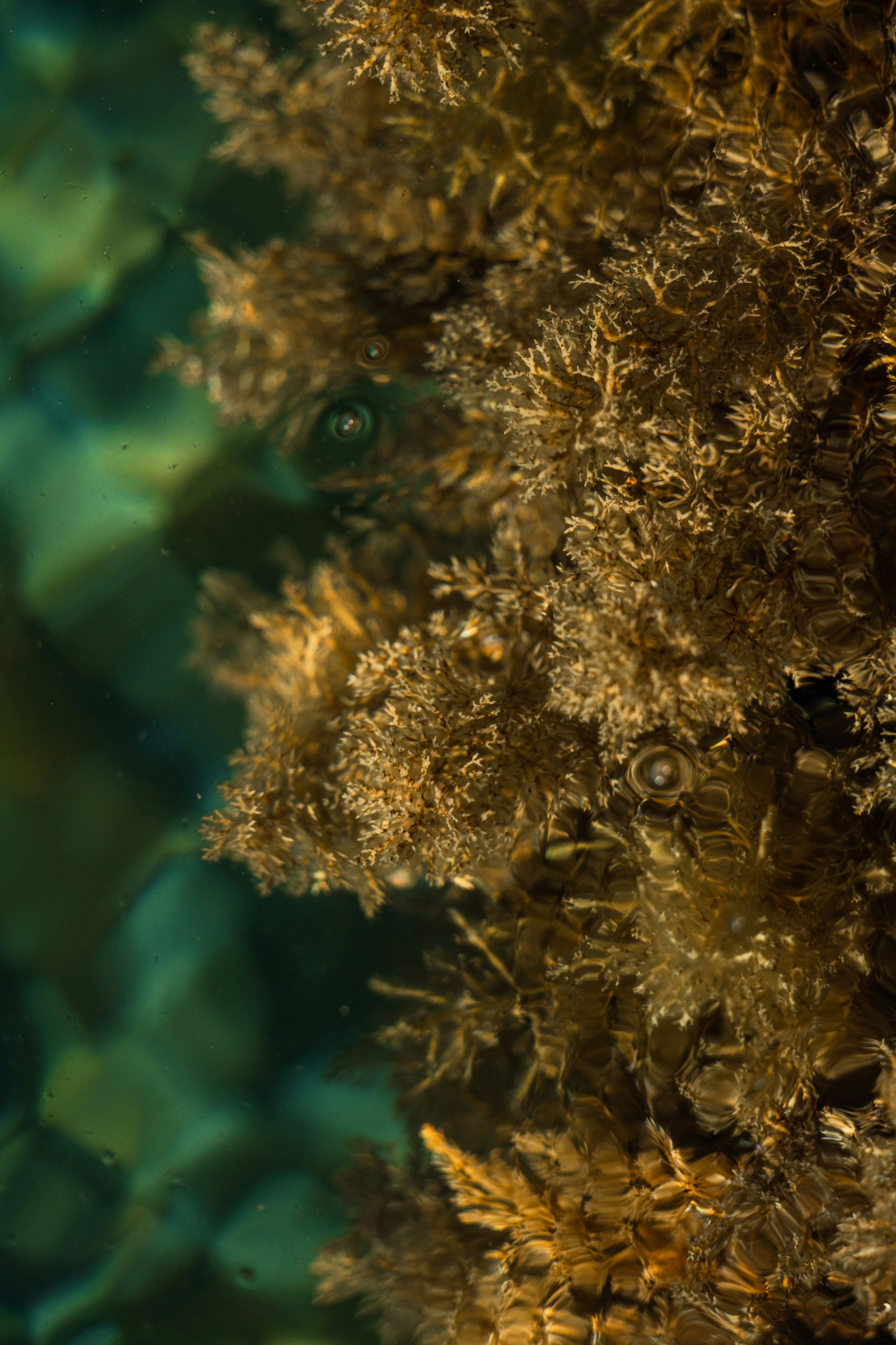 Photo by thestefankostic