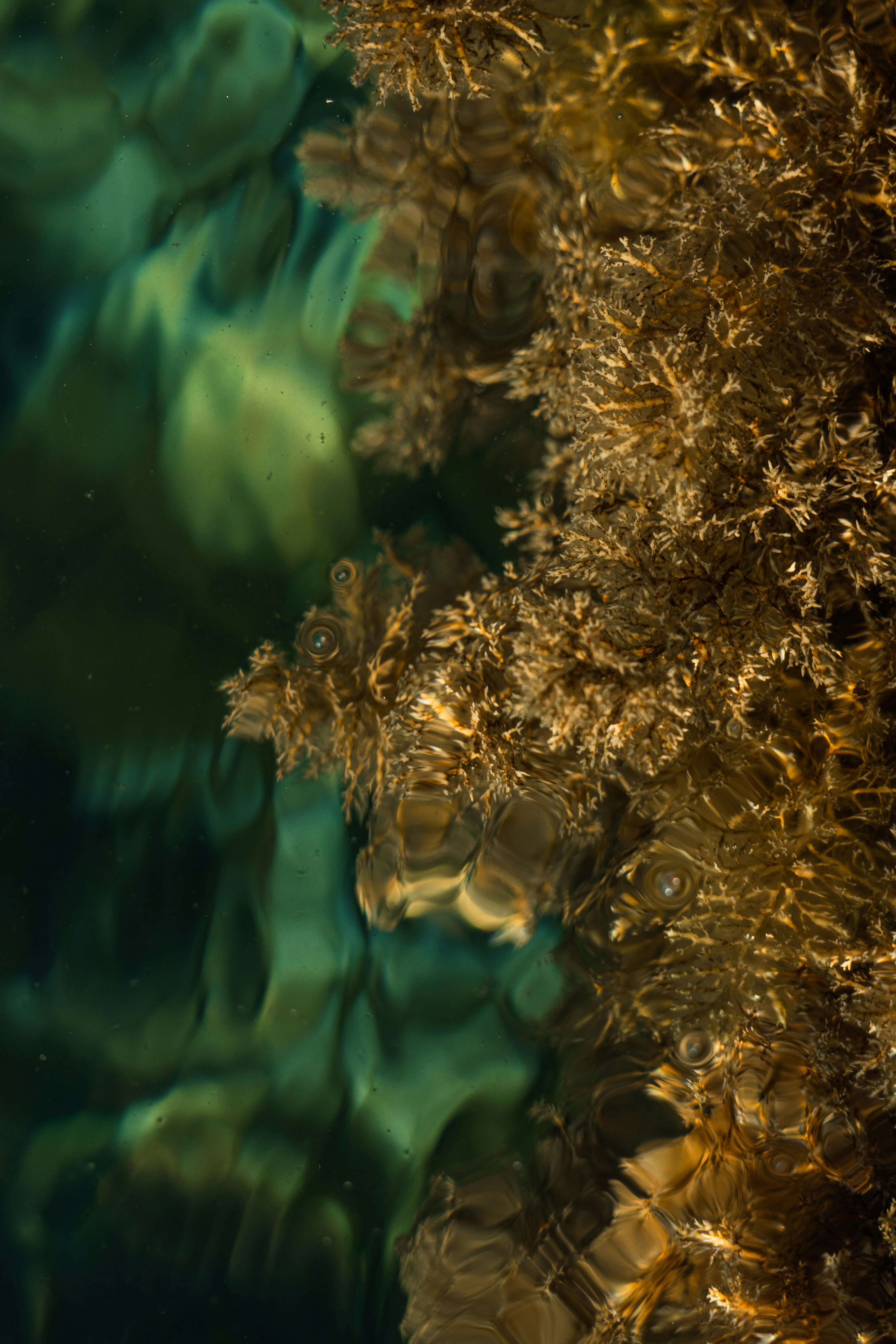 Photo by thestefankostic