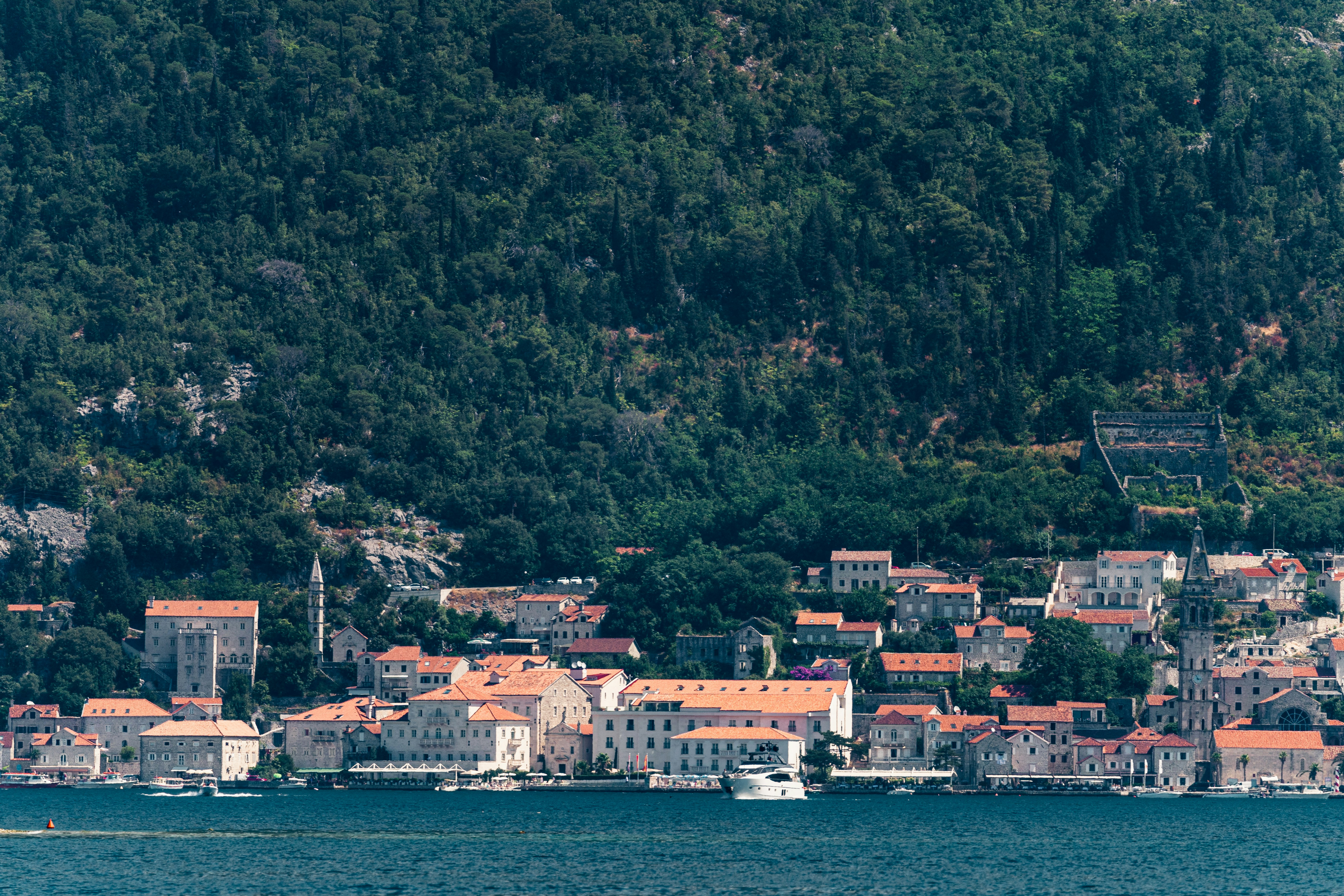 Photo by thestefankostic