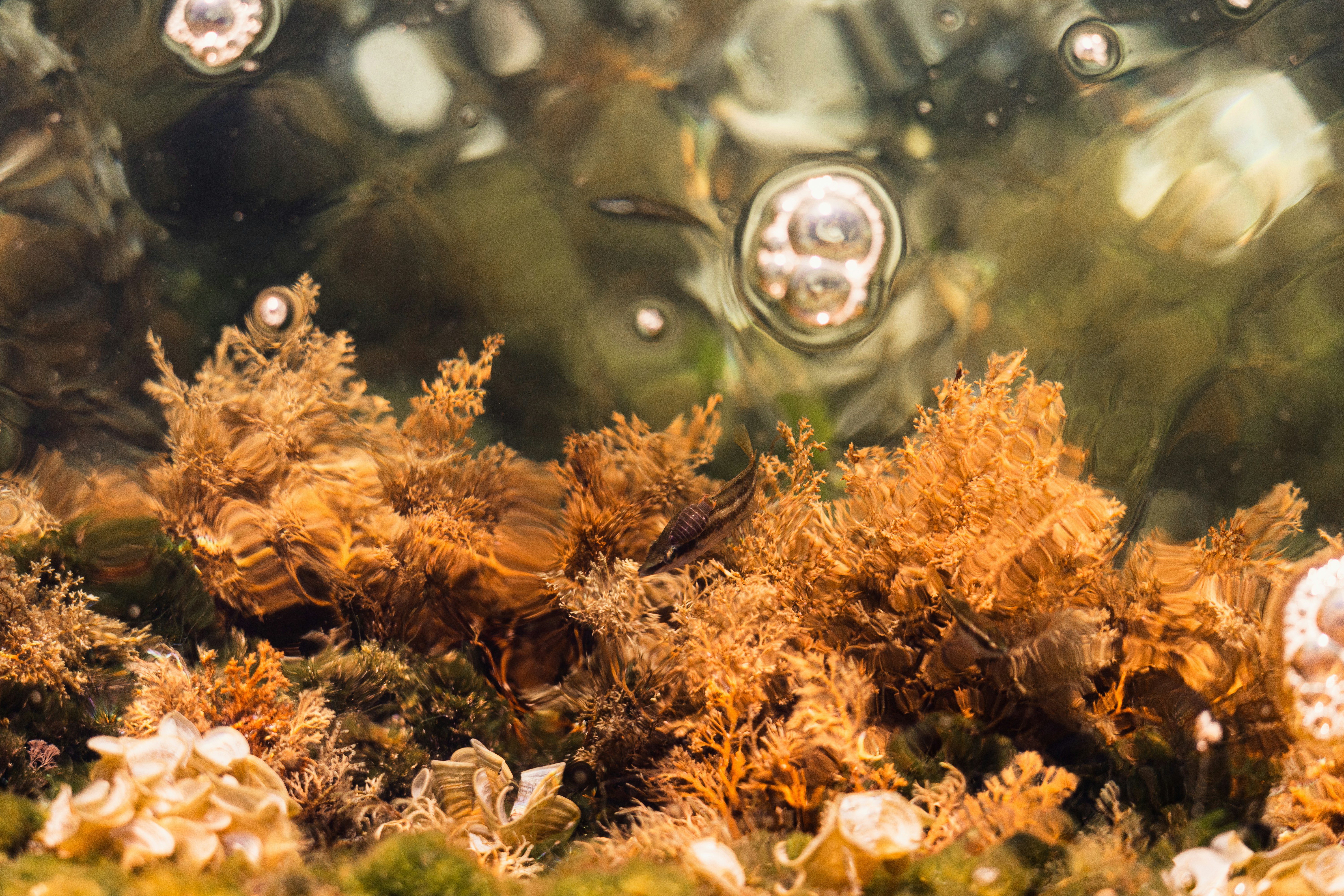 Photo by thestefankostic