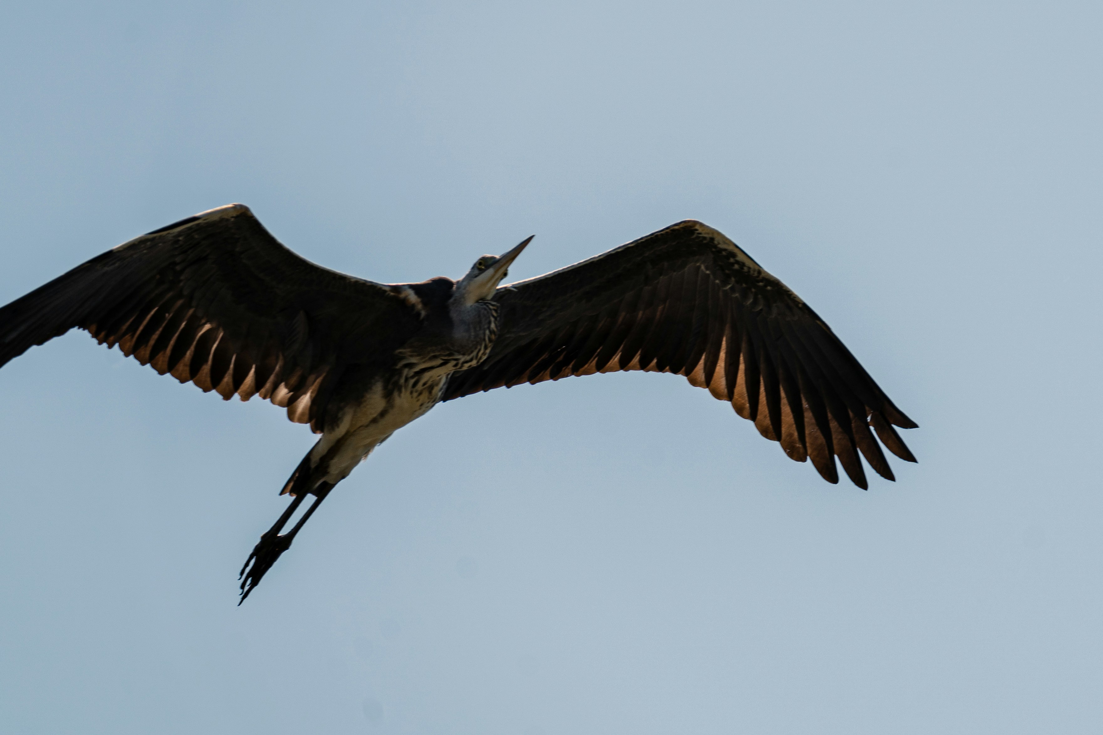 Photo by thestefankostic