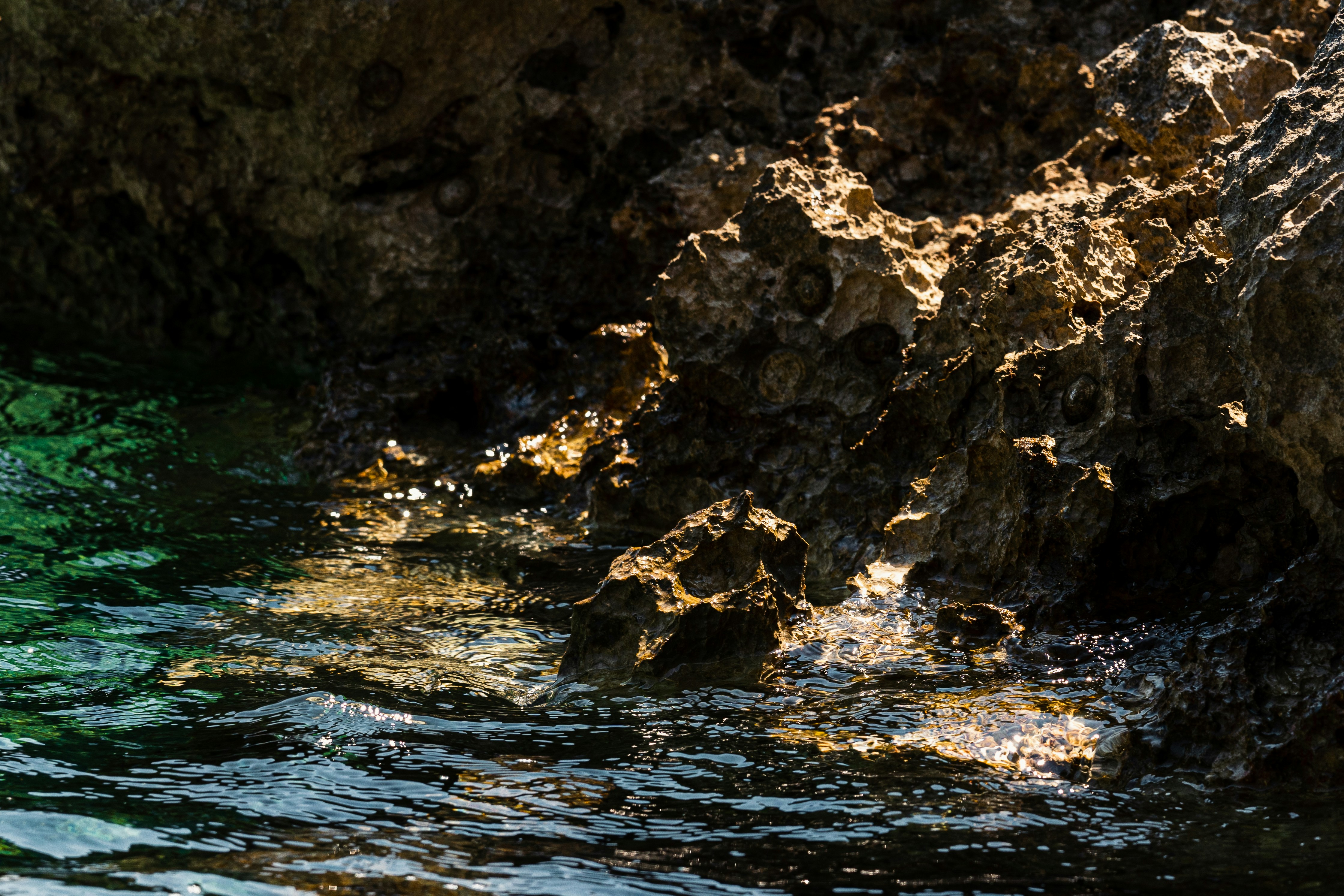 Photo by thestefankostic