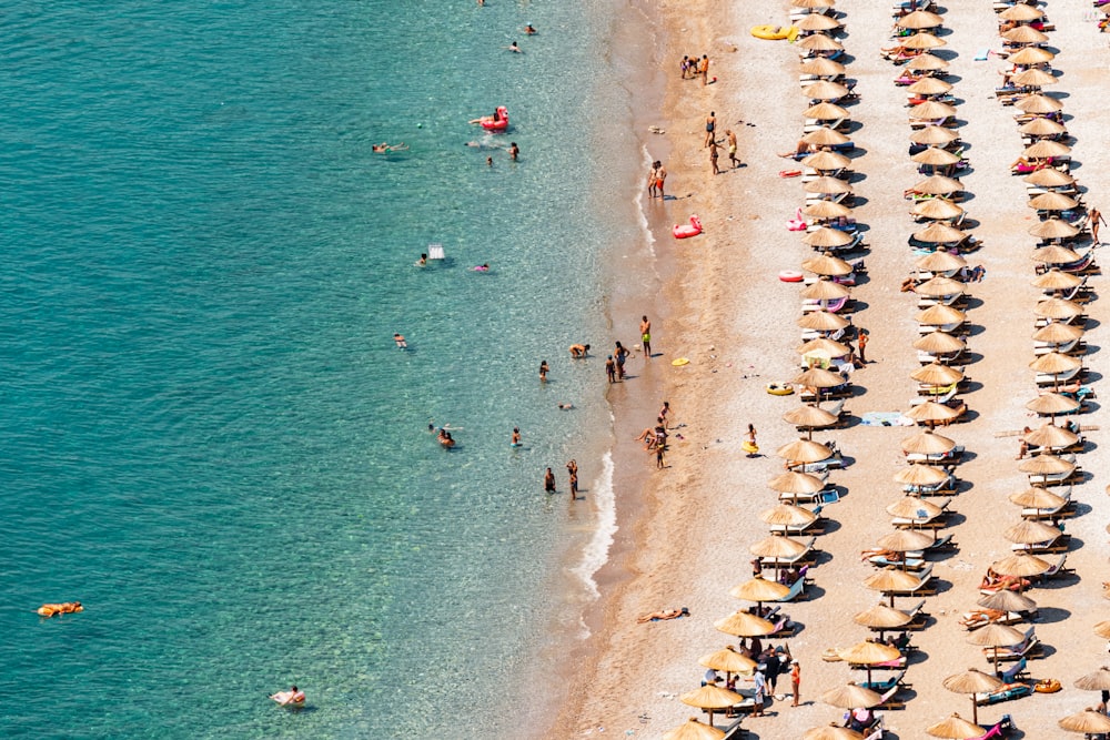 a group of people standing on top of a sandy beach