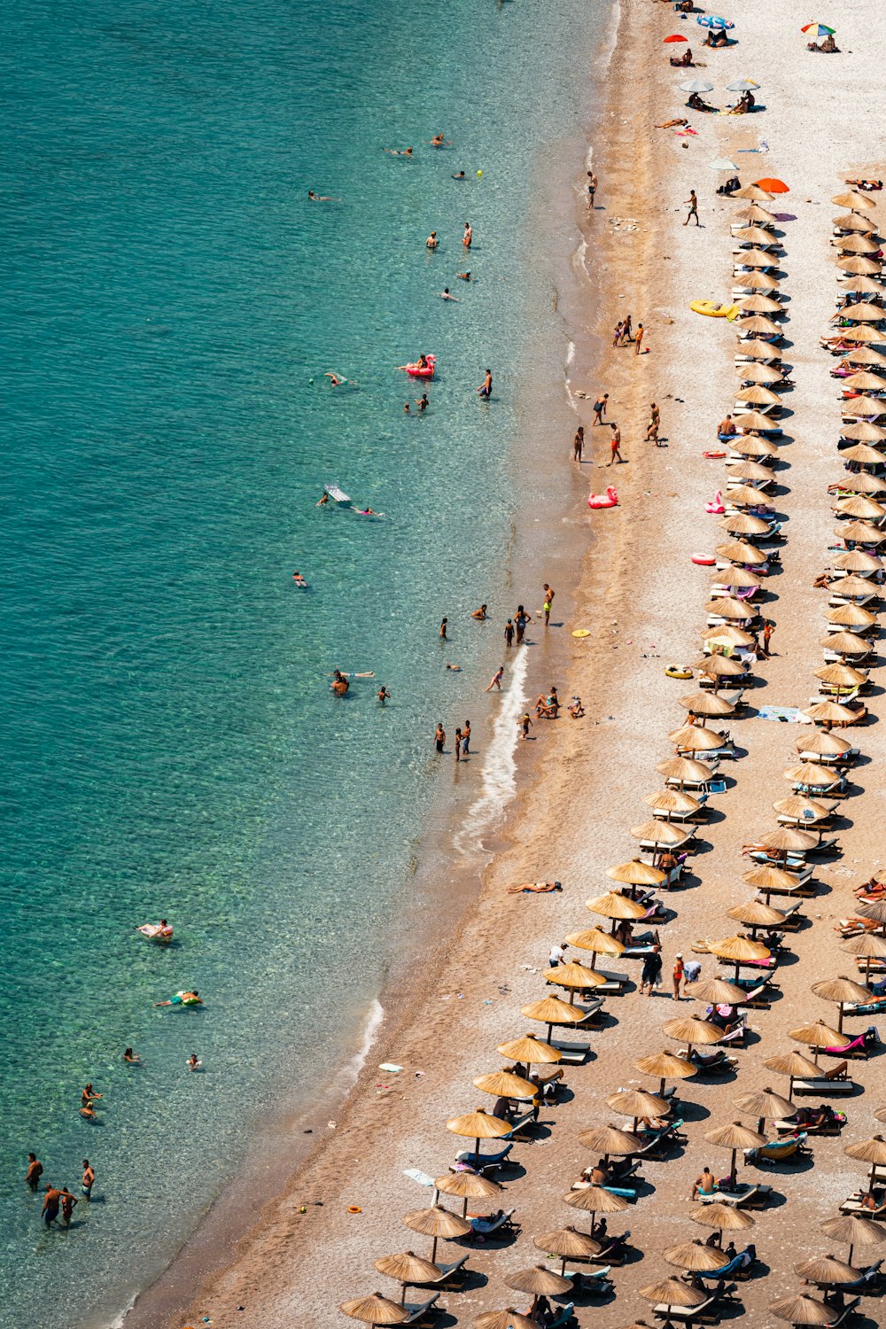 a group of people standing on top of a sandy beach