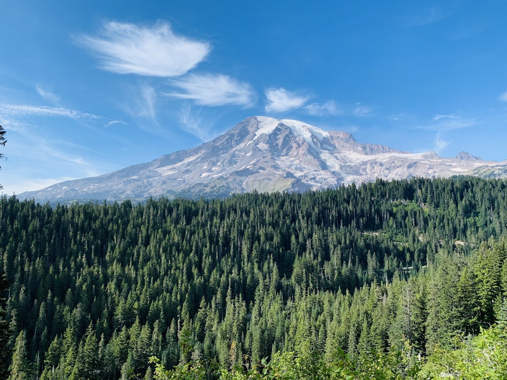 a view of a mountain with trees in the foreground