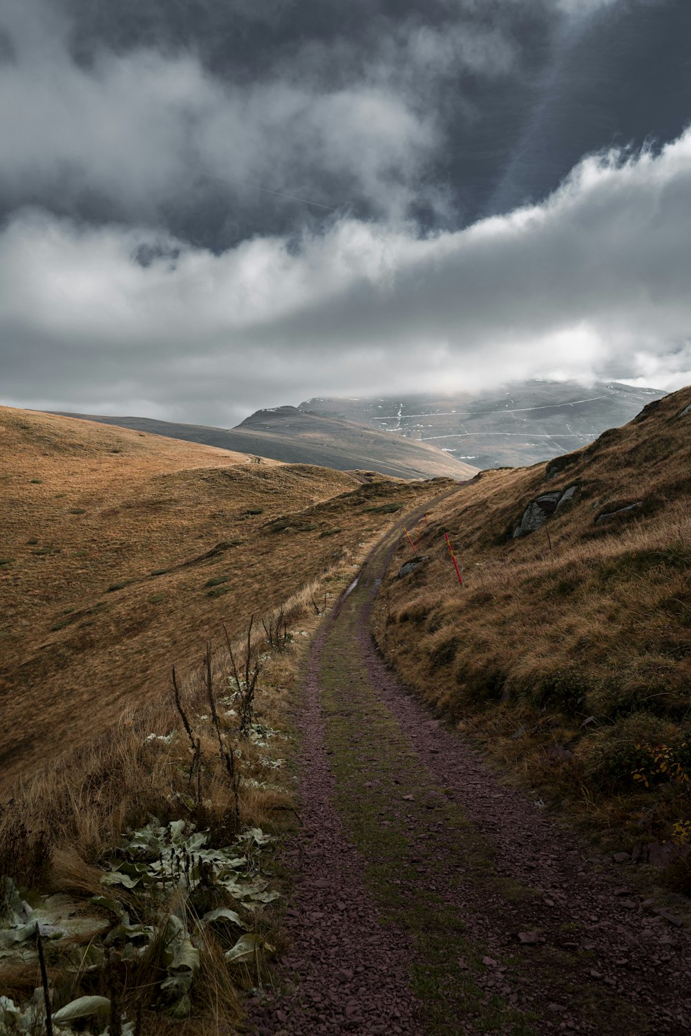 a dirt path in the middle of a grassy field