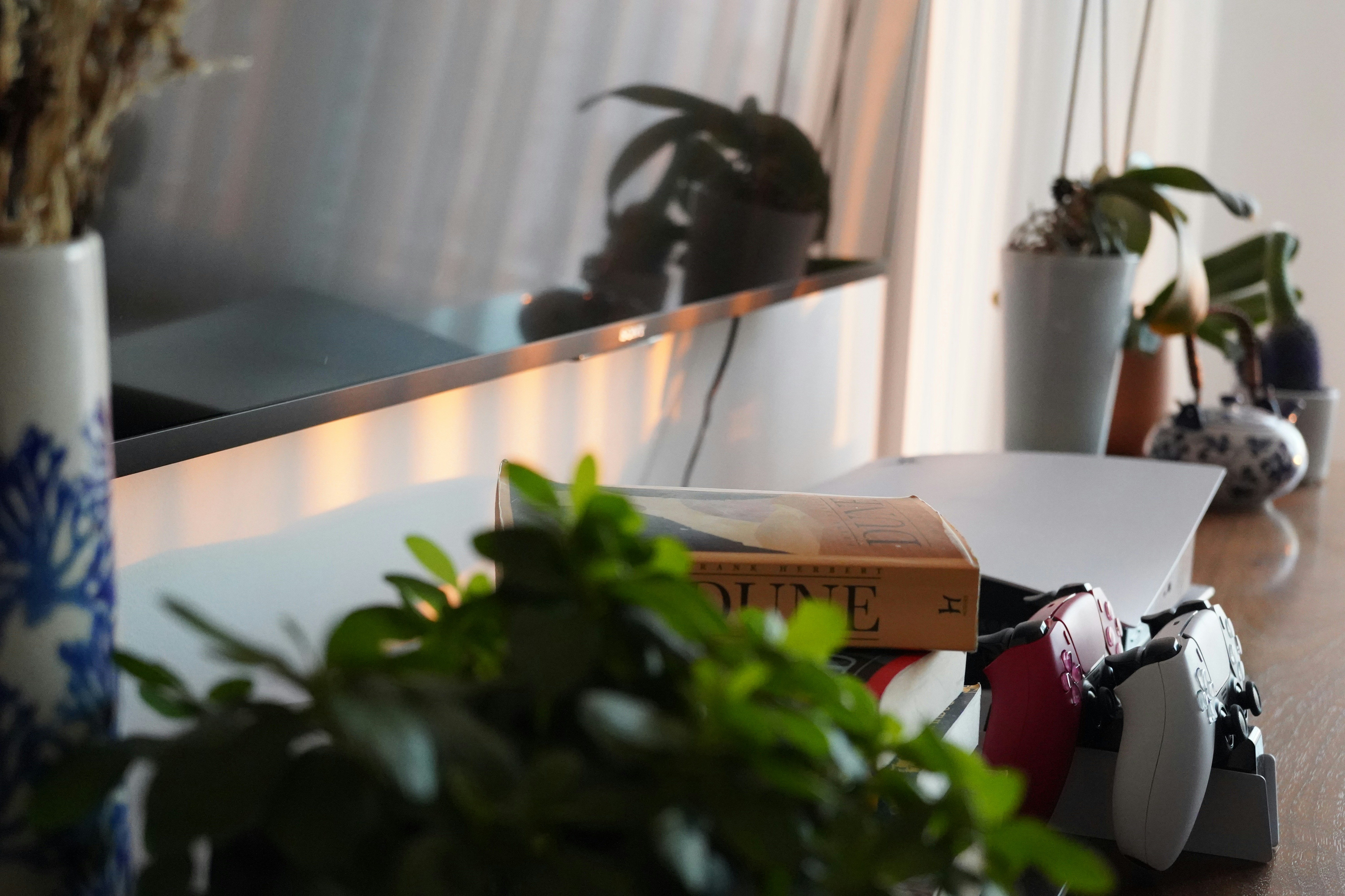 Photo by shpetimujkani