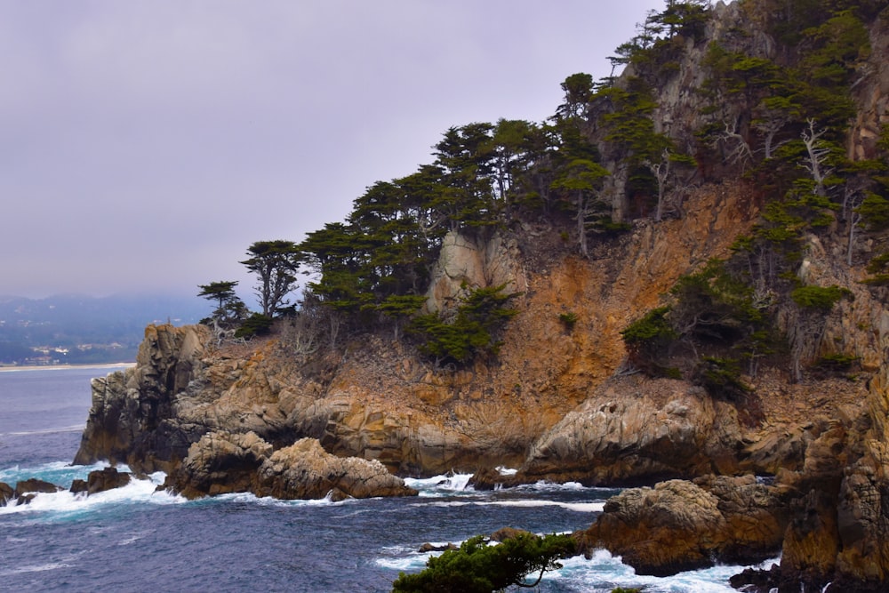 a rocky cliff with trees on top of it