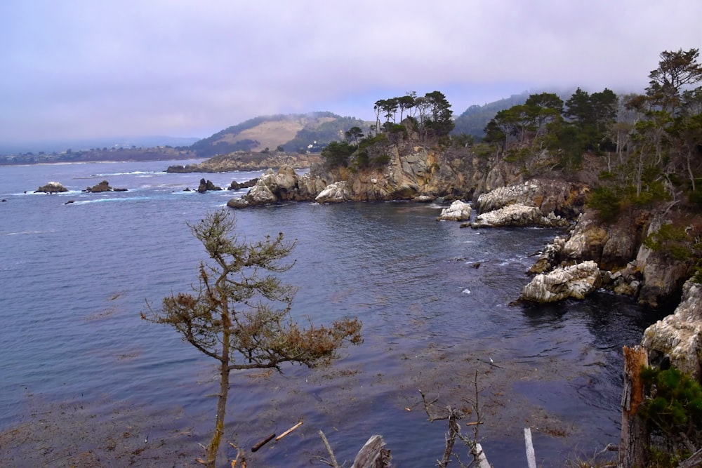 a body of water surrounded by trees and rocks