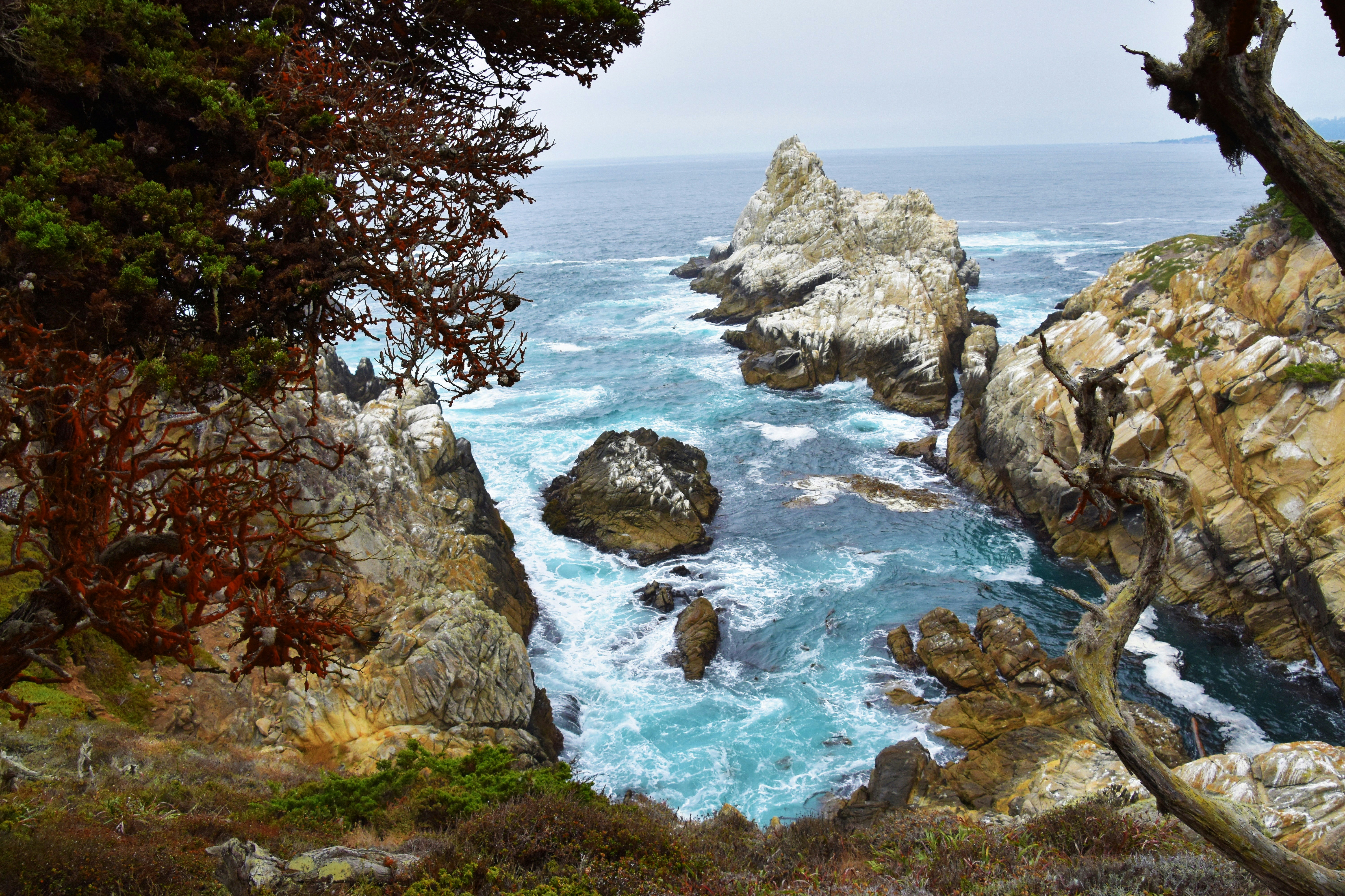 Del Dios, California