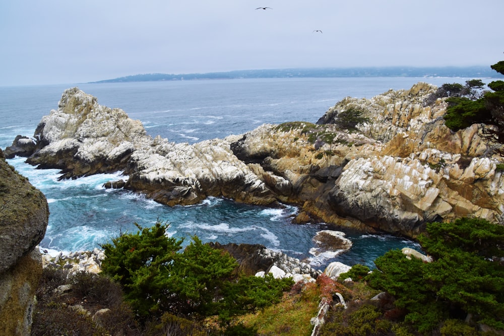 a bird flying over the ocean next to a rocky shore