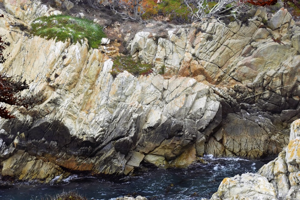 a bird is perched on the rocks near the water