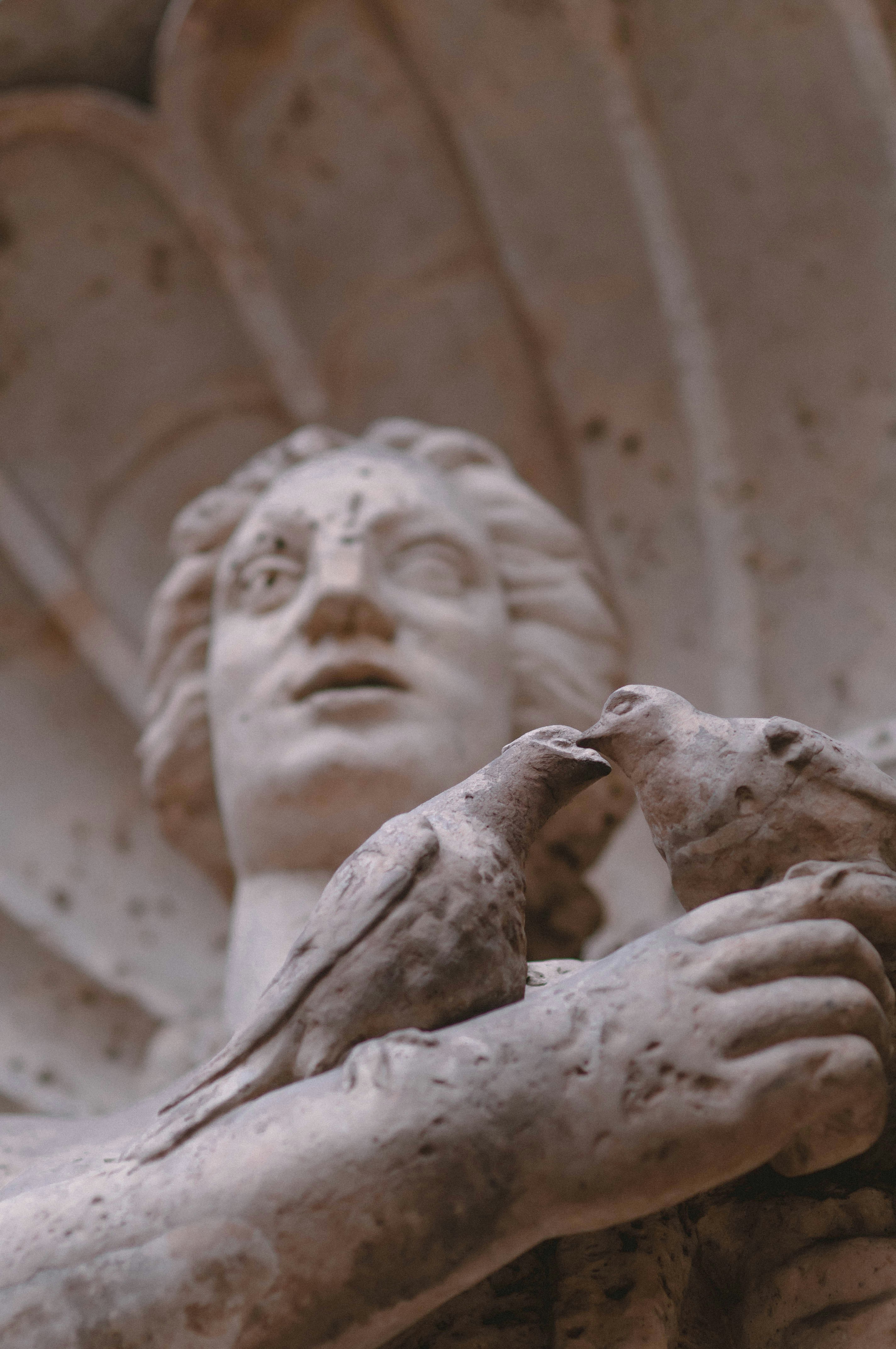 Photo by rebekakosmane