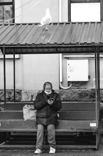 An elderly person sits on a bench under a metal roof while looking at a mobile phone. A large bag is placed next to them on the bench. A seagull stands on the roof above, and a building wall with a utility panel is visible in the background.
