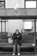 An elderly person sits on a bench under a metal roof while looking at a mobile phone. A large bag is placed next to them on the bench. A seagull stands on the roof above, and a building wall with a utility panel is visible in the background.