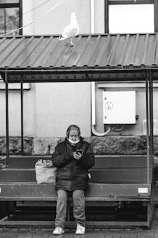 An elderly person sits on a bench under a metal roof while looking at a mobile phone. A large bag is placed next to them on the bench. A seagull stands on the roof above, and a building wall with a utility panel is visible in the background.