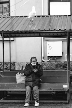 An elderly person sits on a bench under a metal roof while looking at a mobile phone. A large bag is placed next to them on the bench. A seagull stands on the roof above, and a building wall with a utility panel is visible in the background.