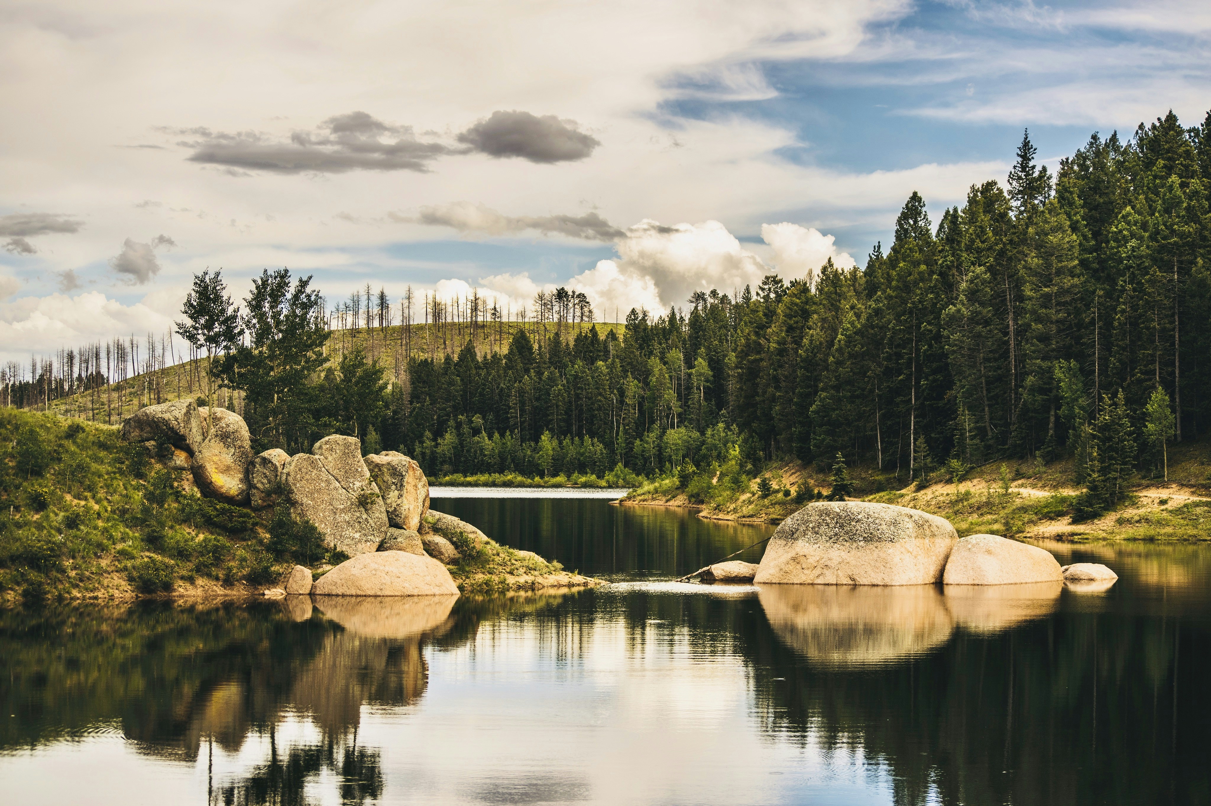 a body of water surrounded by trees and rocks