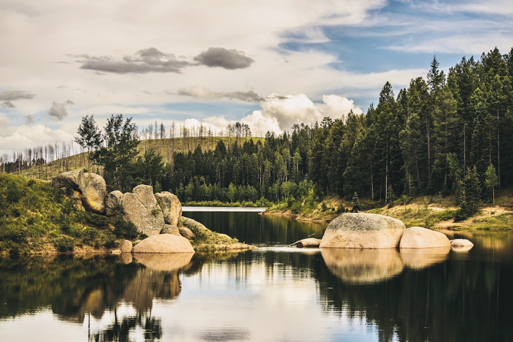 un cuerpo de agua rodeado de árboles y rocas