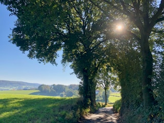 A serene countryside path symbolizing Caminhos de Salette.