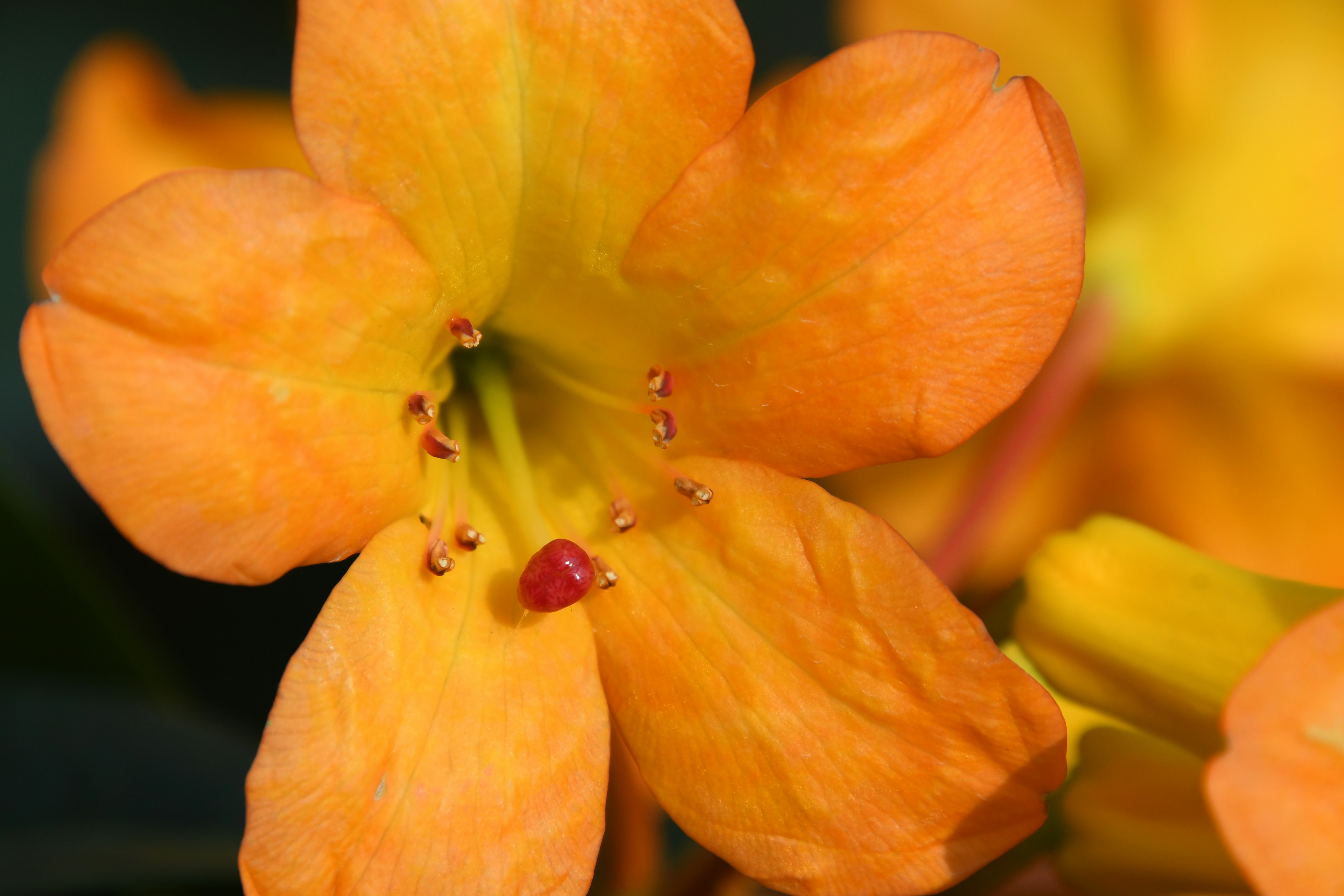 Photo by jessica_rigollot