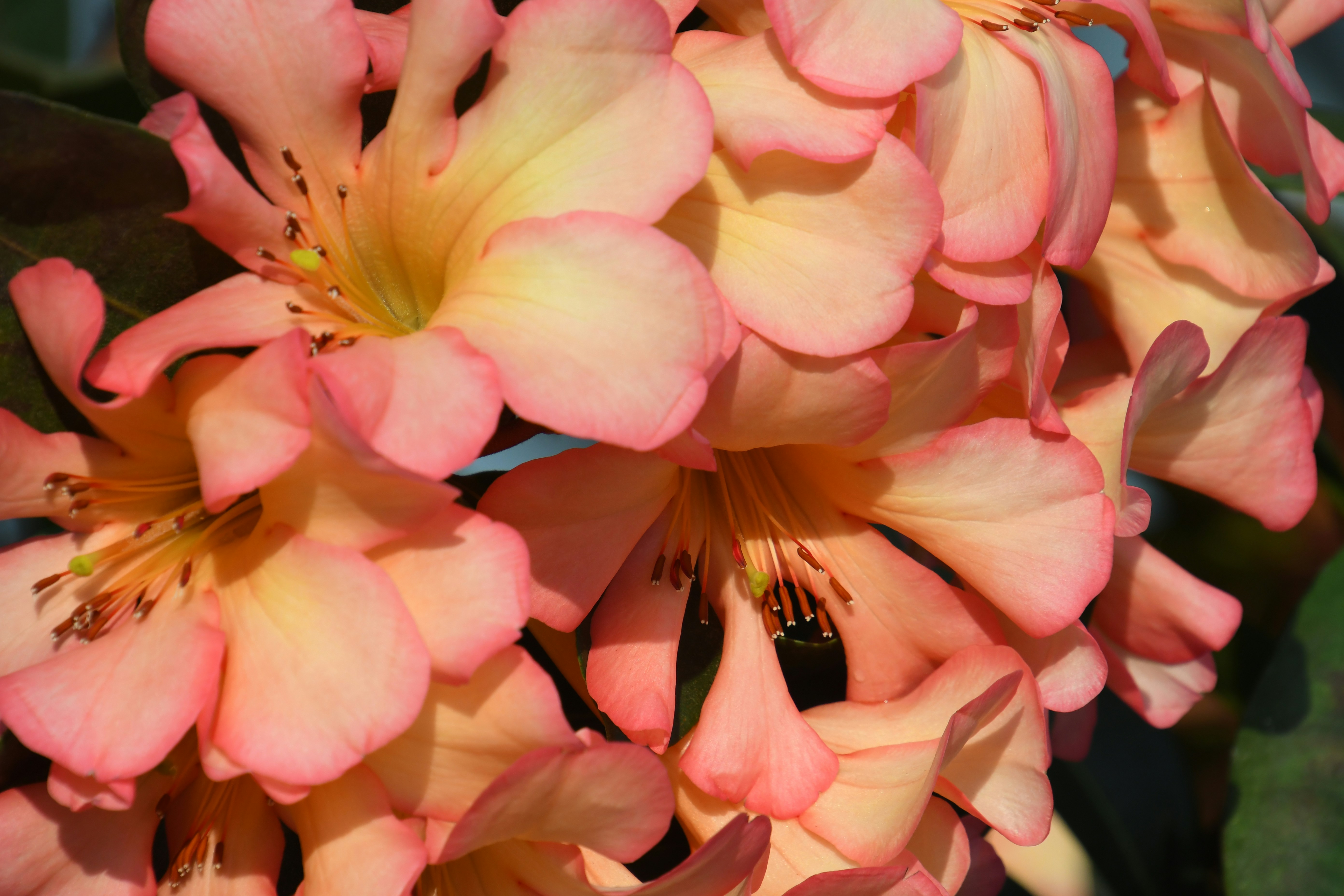 Photo by jessica_rigollot