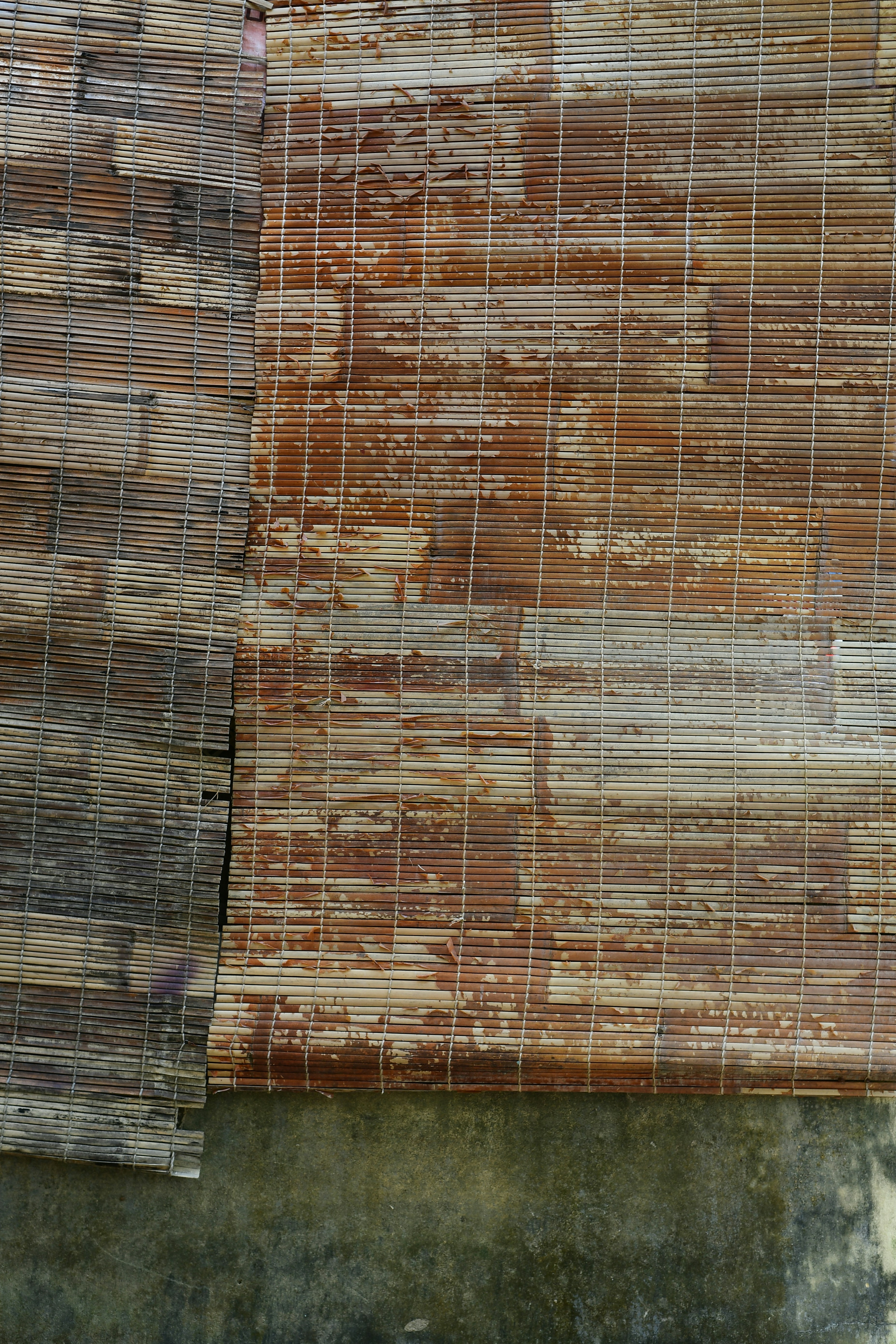 Un pájaro se posa encima de un trozo de madera