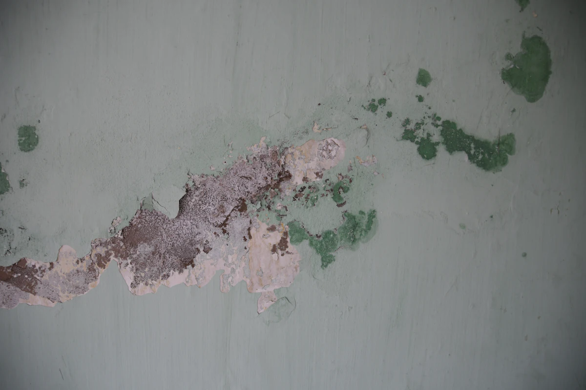 Damp patch with blown paint spreading across a wall