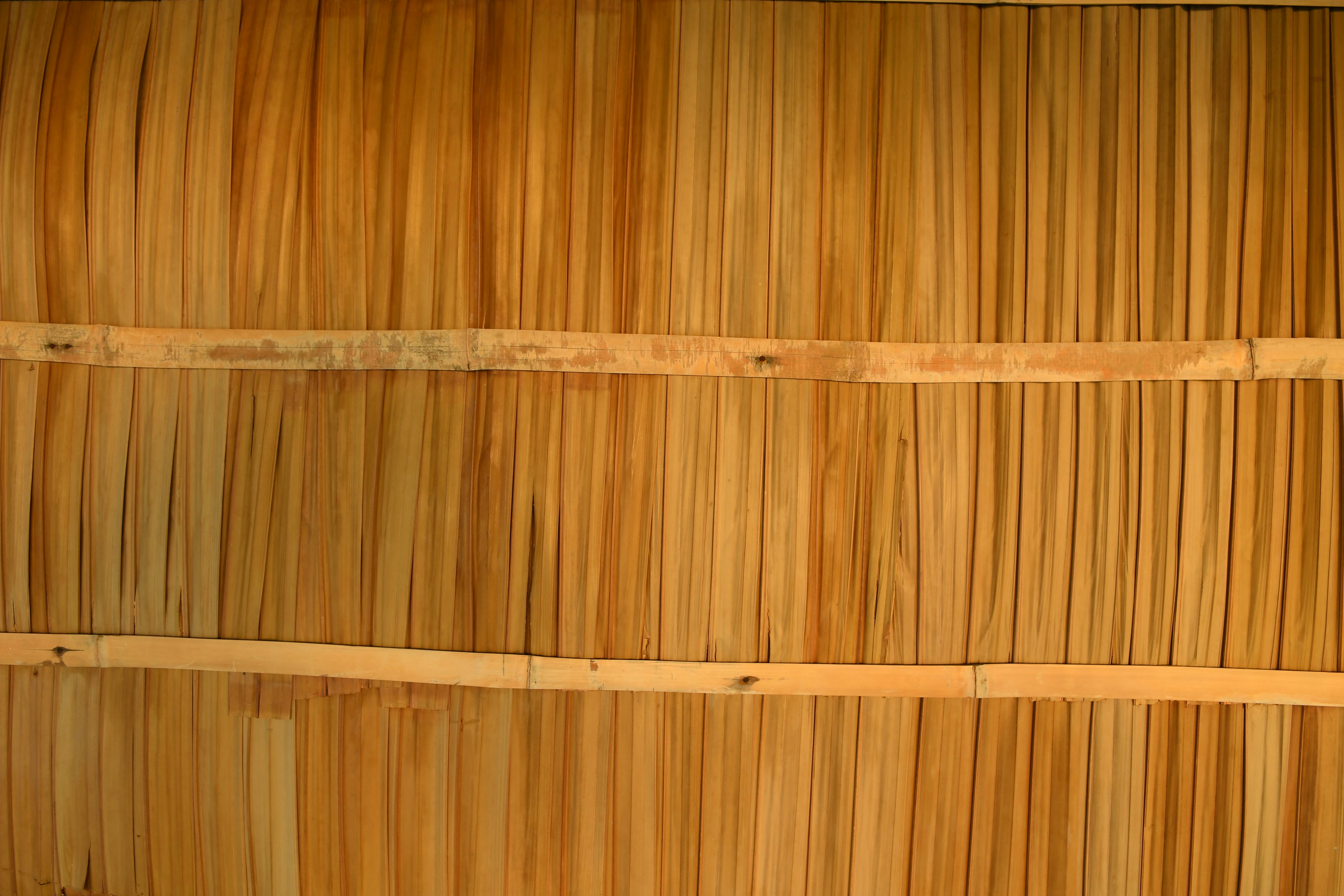 Photo by jessica_rigollot