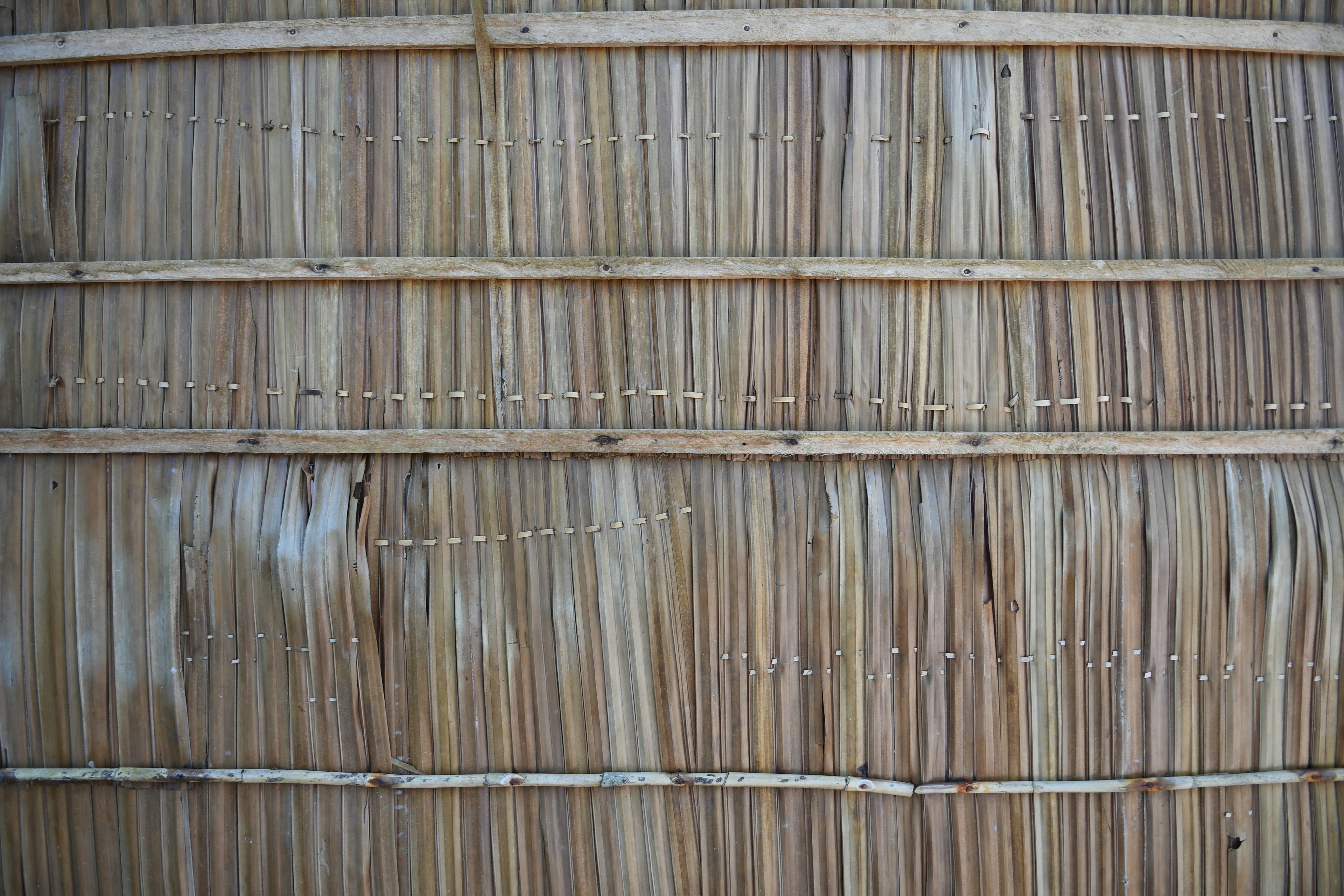 Photo by jessica_rigollot