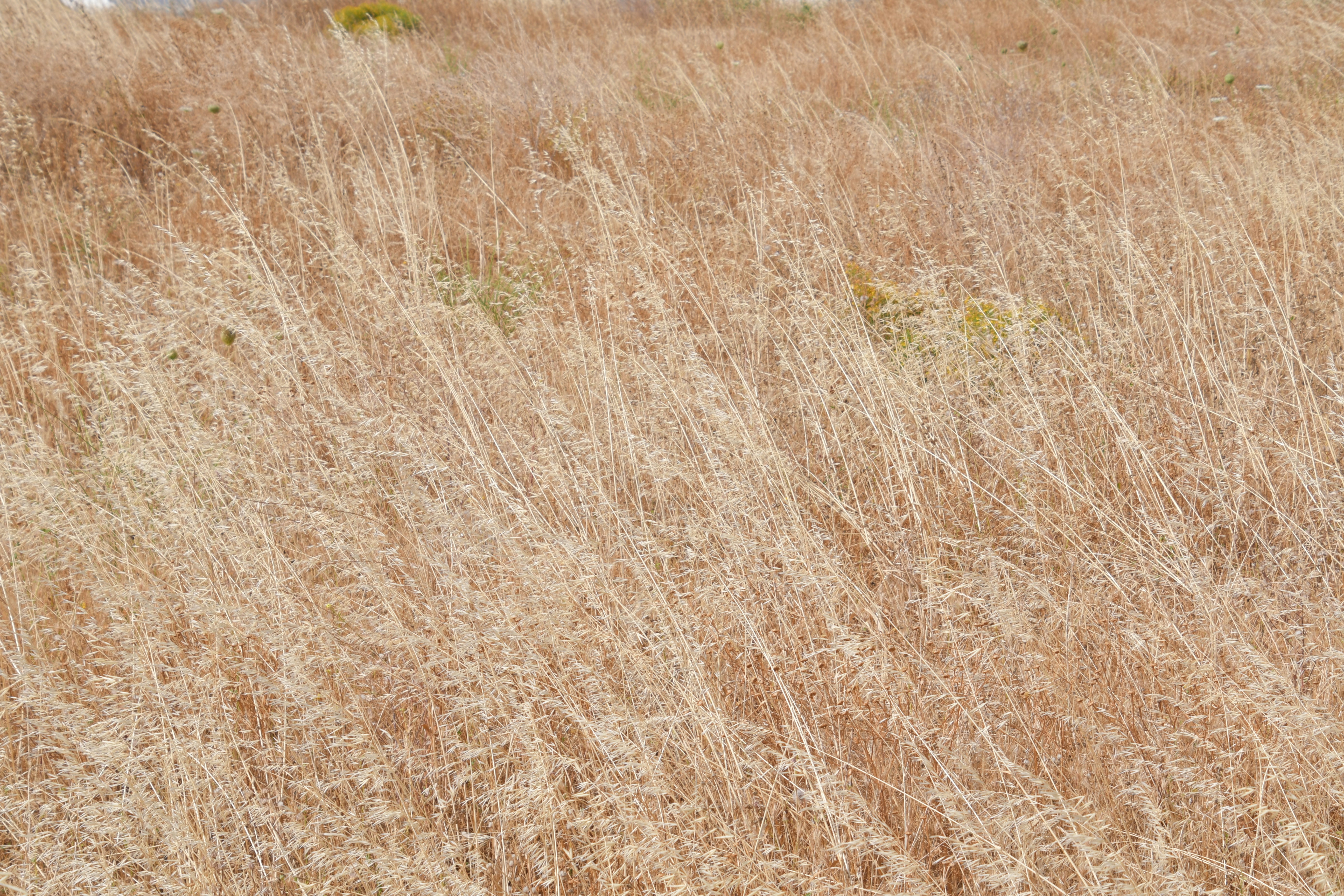 Photo by jessica_rigollot