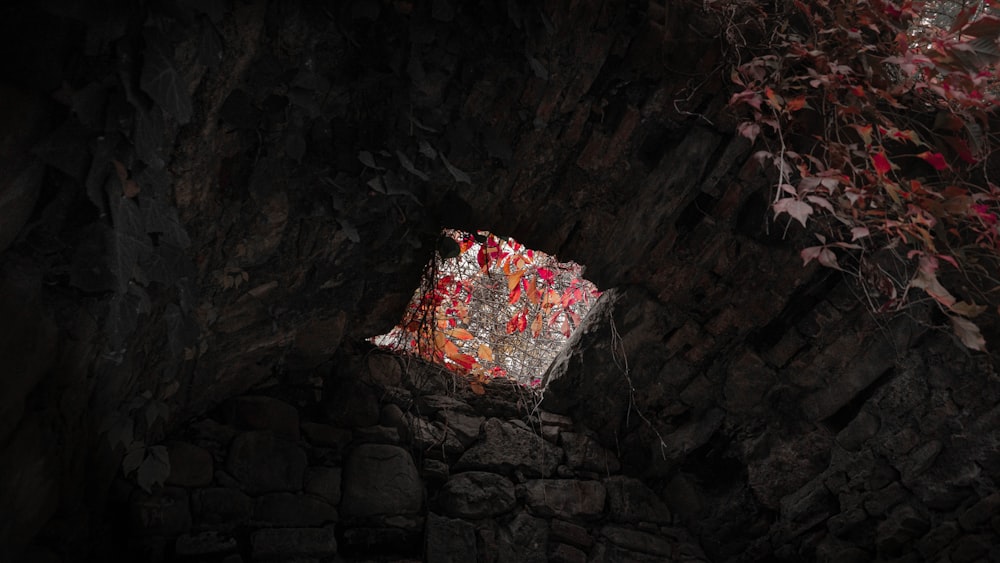 a piece of paper sitting on top of a pile of rocks