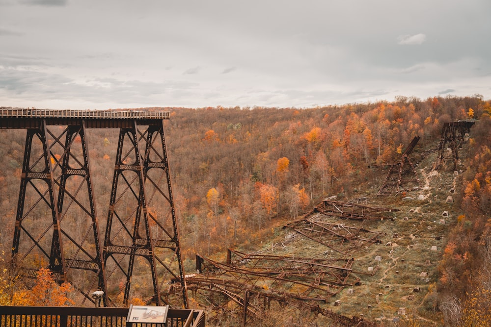 an old train trestle in the middle of a forest