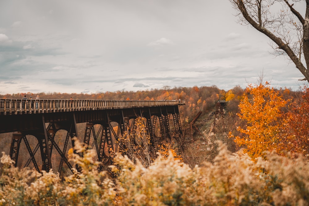 a bridge over a river surrounded by trees