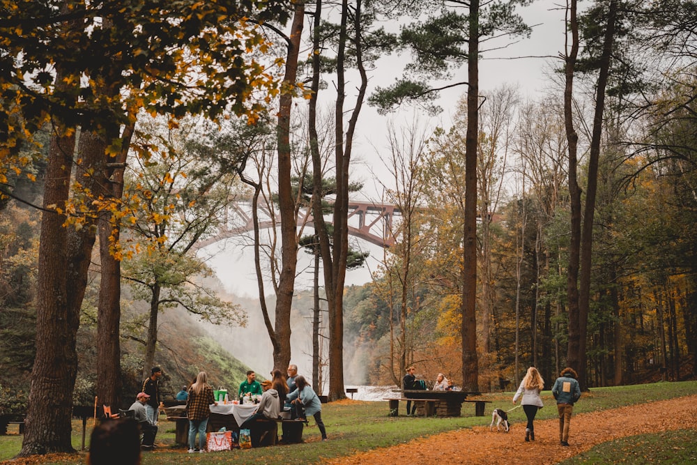 a group of people standing around a picnic table