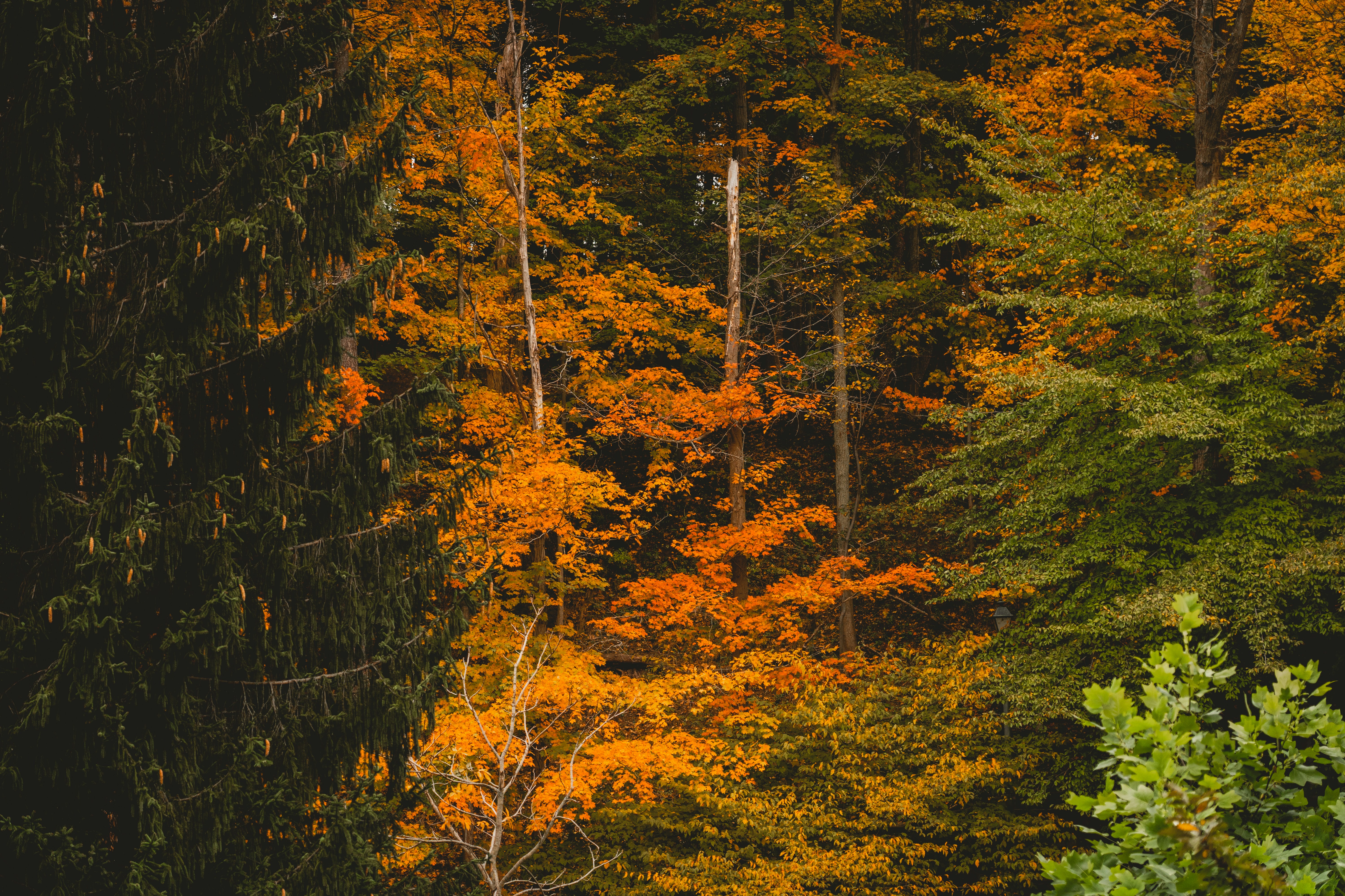 Photo by hybridstorytellers