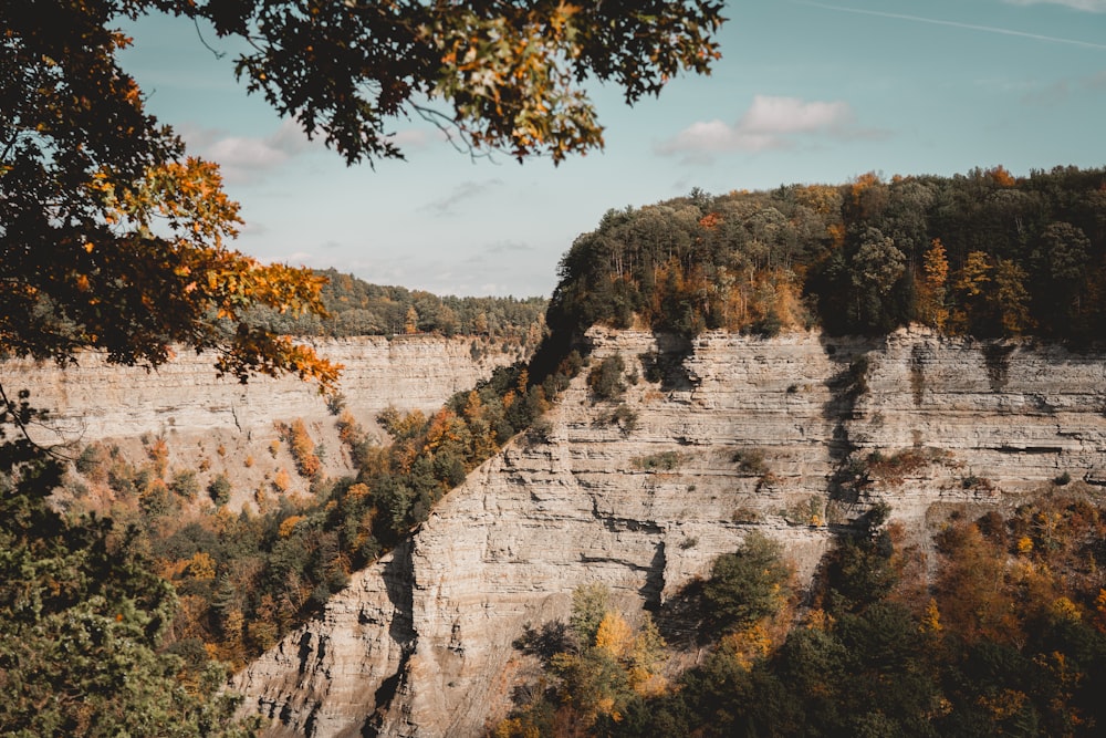 una vista panoramica di una scogliera con alberi in primo piano