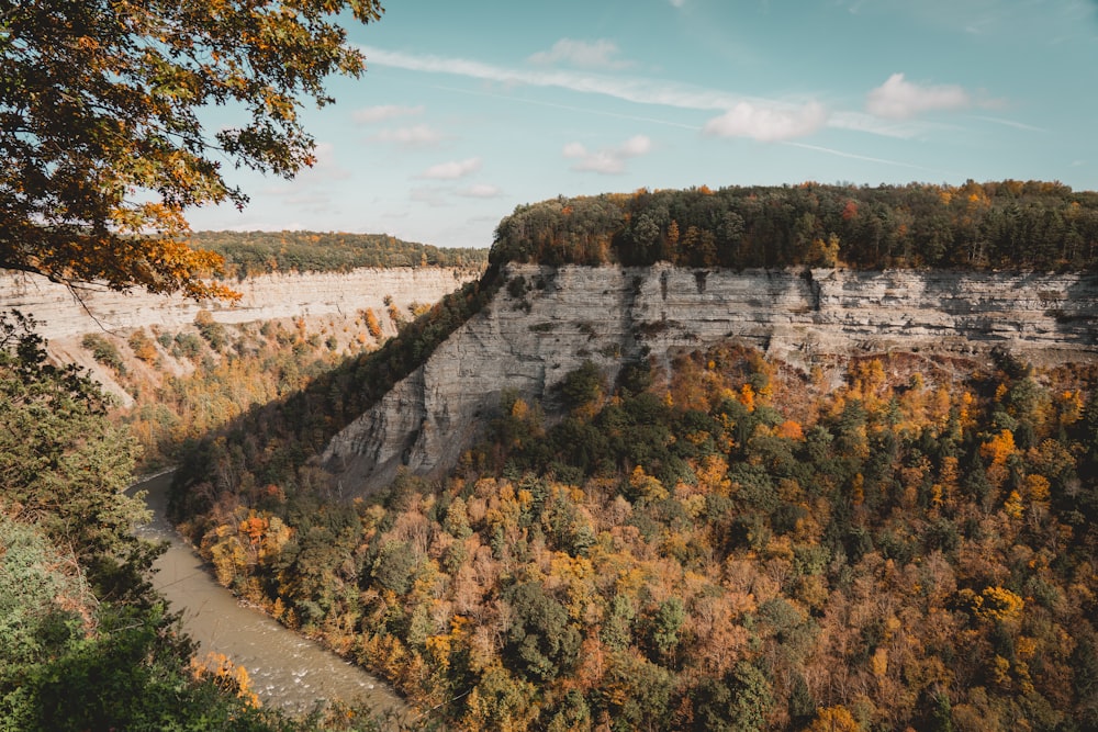 a scenic view of a canyon with a river running through it