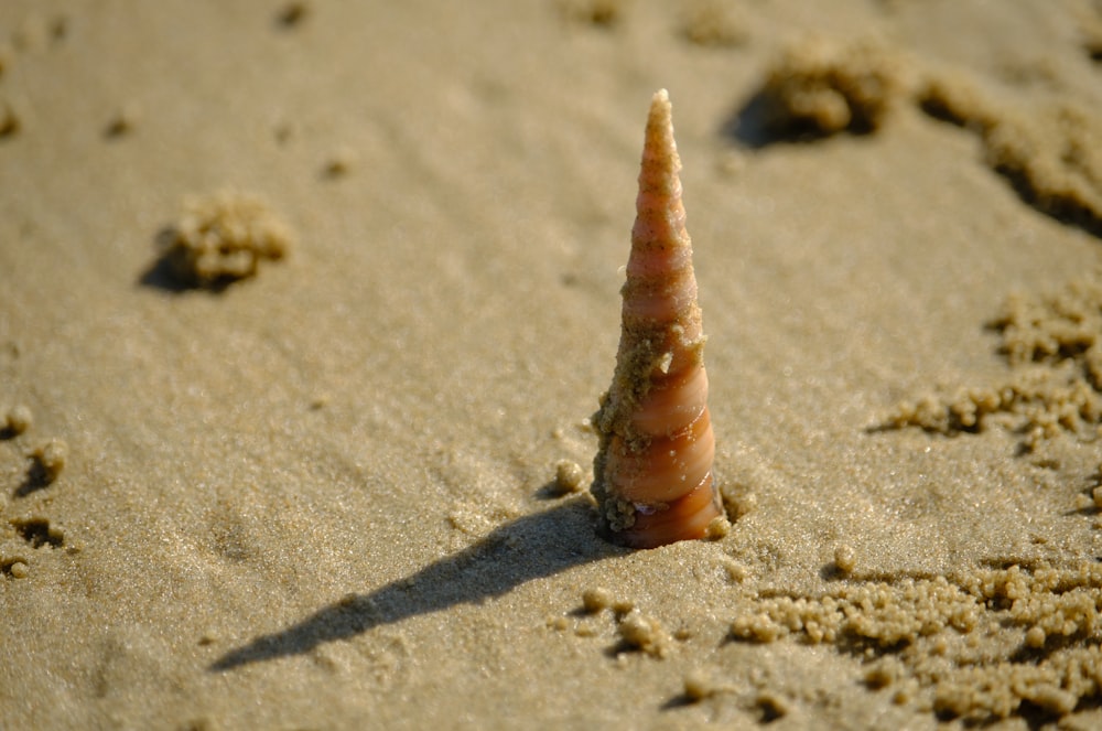 Un pequeño objeto en forma de cono en la arena