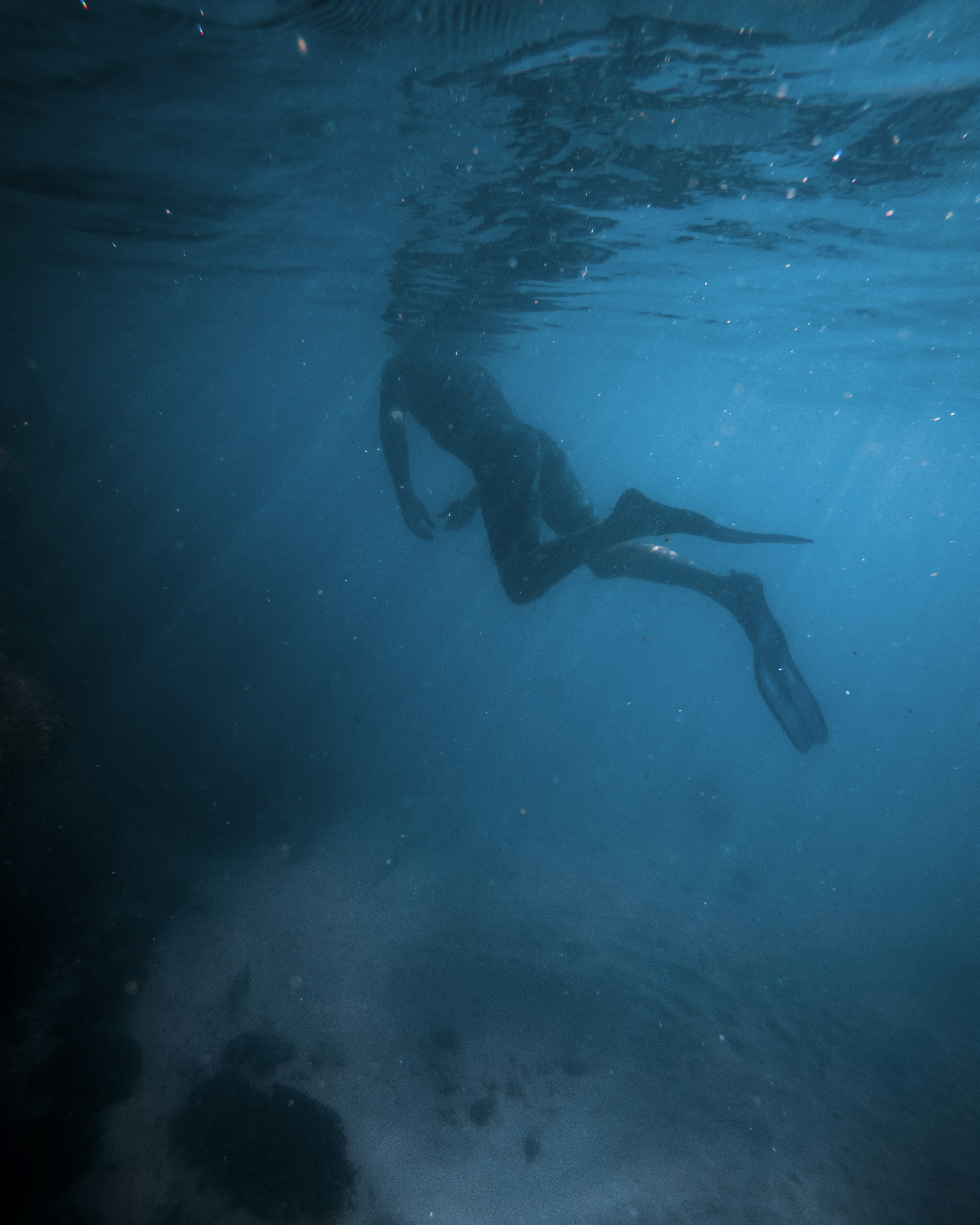 Photo by harveyrobinson