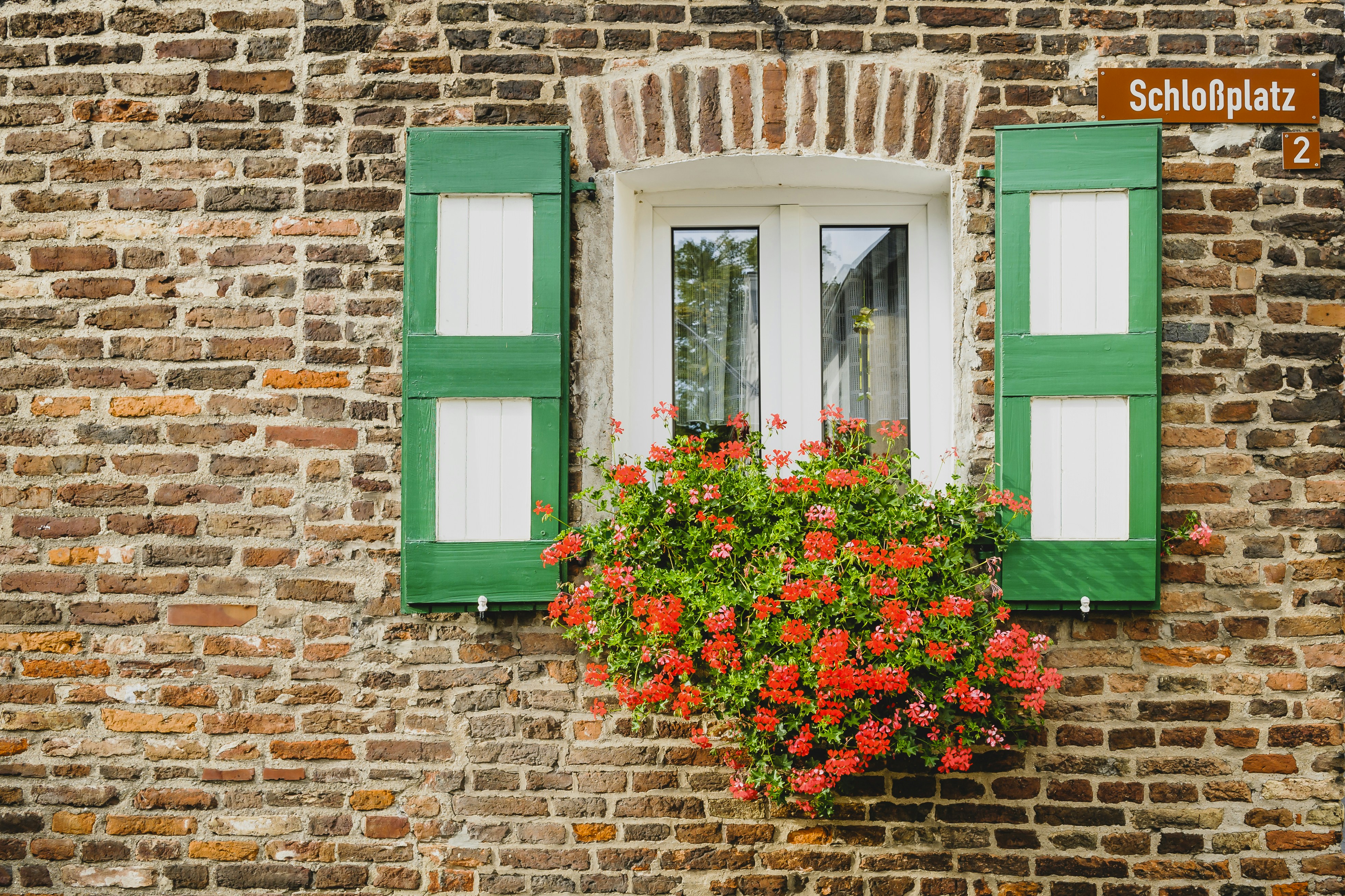a window with green shutters and red flowers