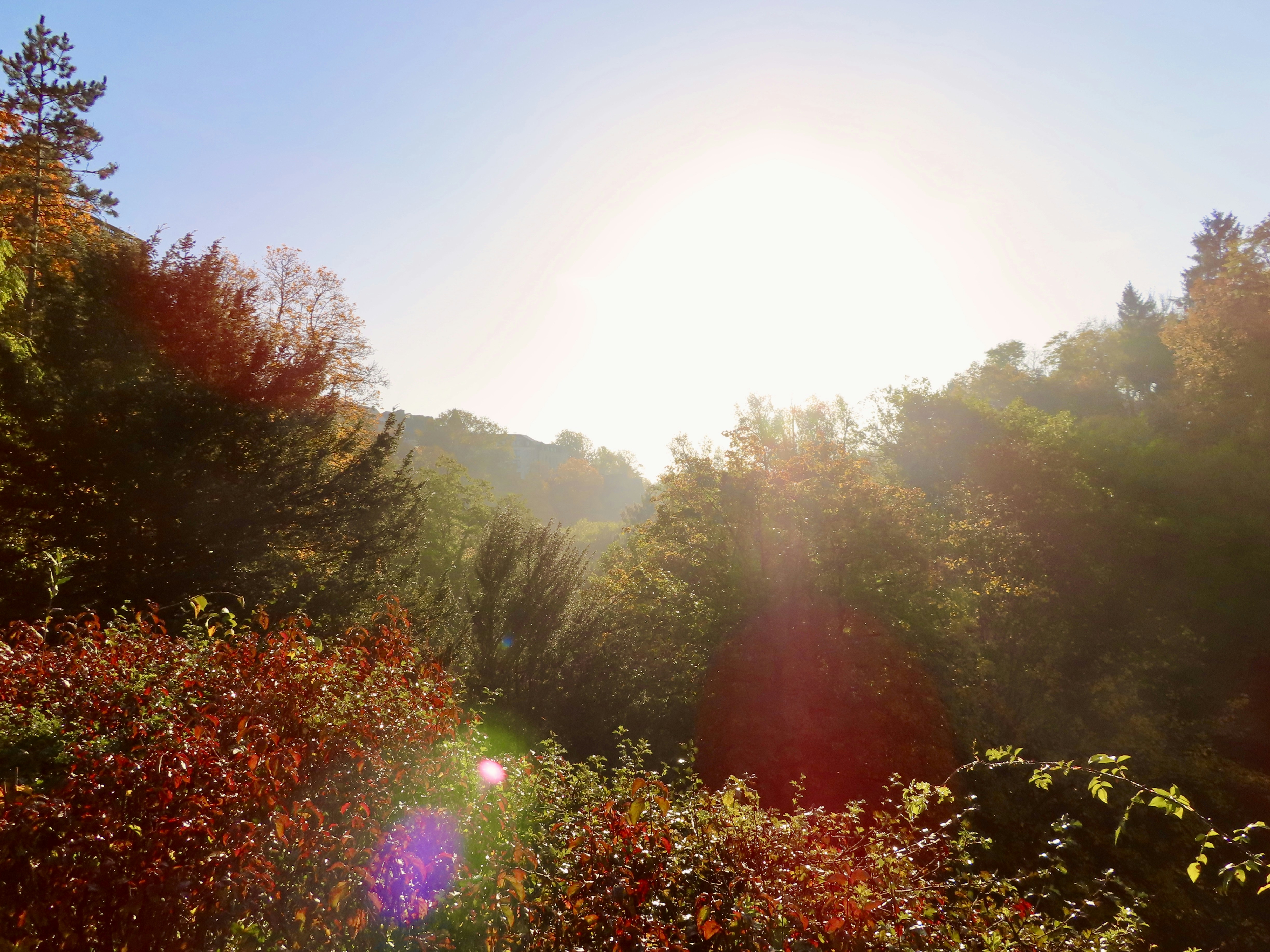 Afbeelding van Nederland