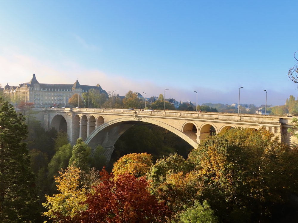 a bridge over a river surrounded by trees