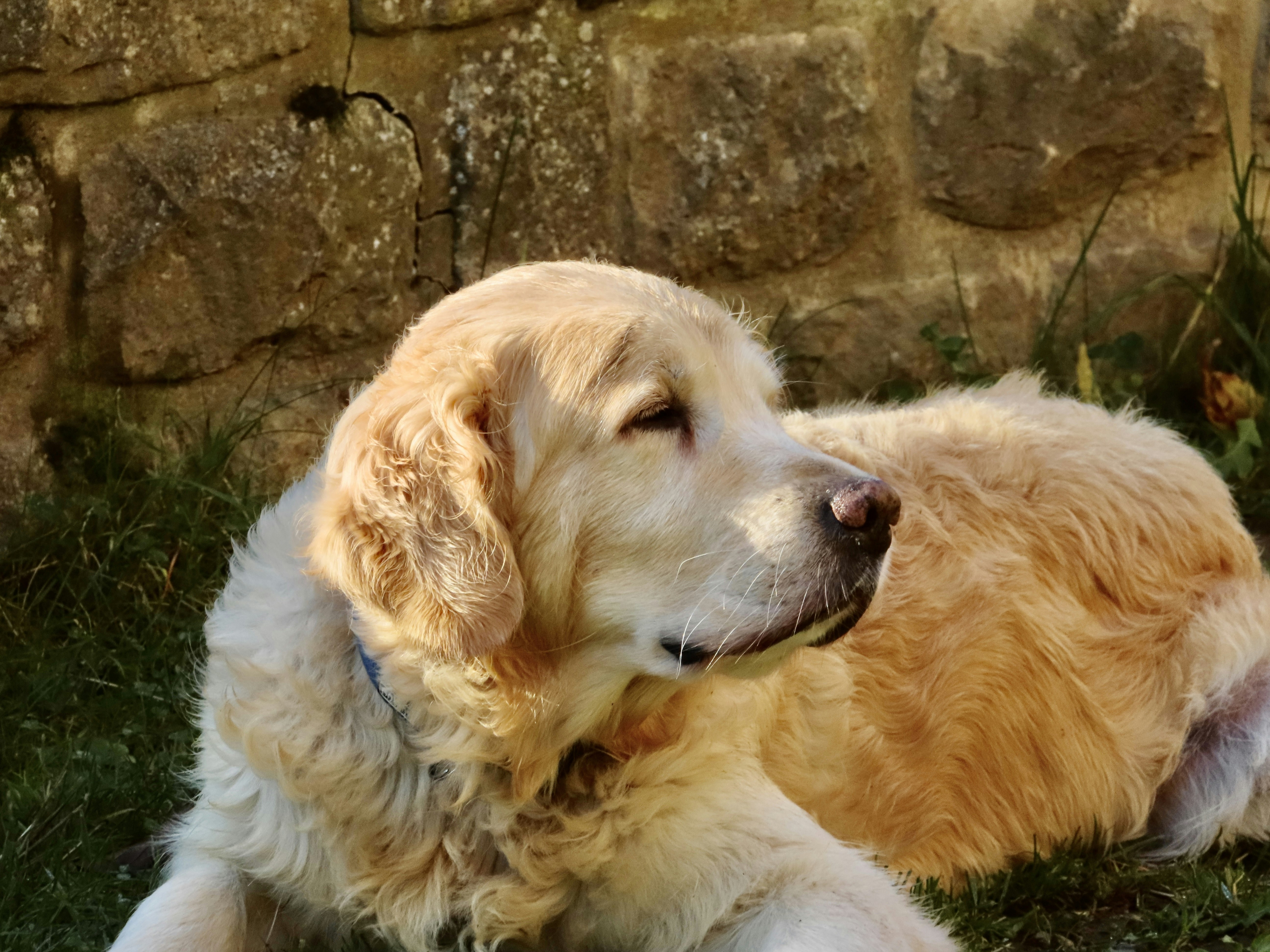 Photo by thom_reijnders