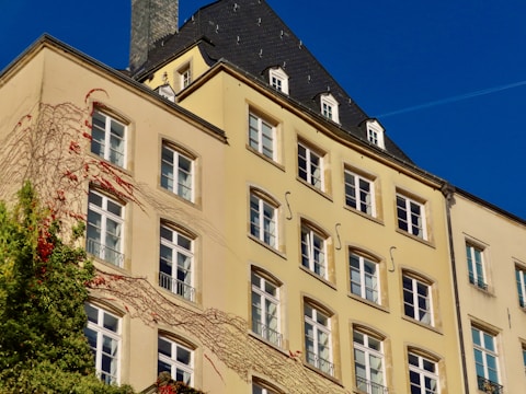 A multi-story building with a light beige facade features numerous windows organized in a repeated pattern. Ivy drapes across part of the building, adding a touch of greenery and red leaves. The roof is dark gray and steeply angled, topped with a chimney. A clear blue sky serves as the backdrop.
