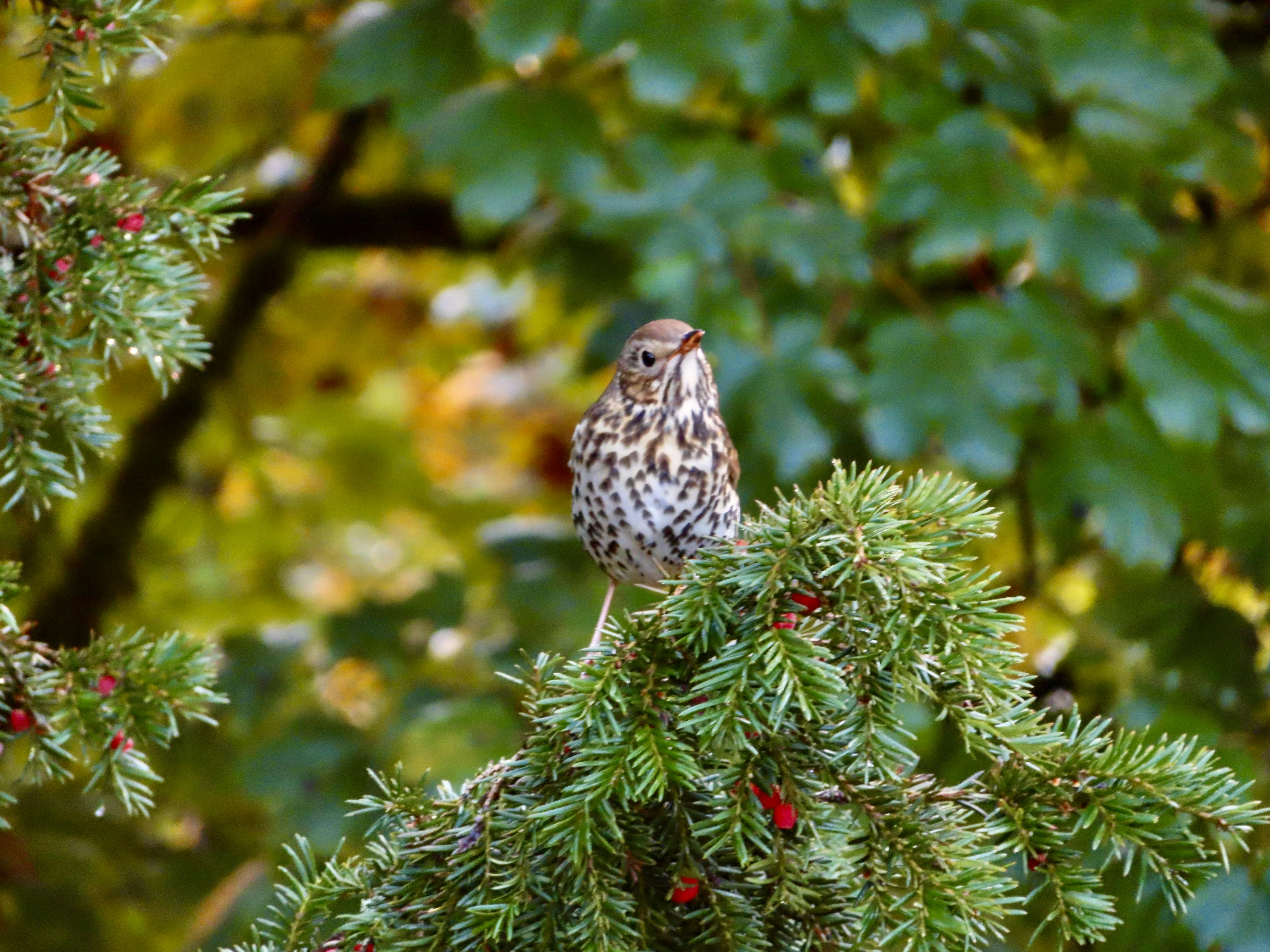 Photo by thom_reijnders