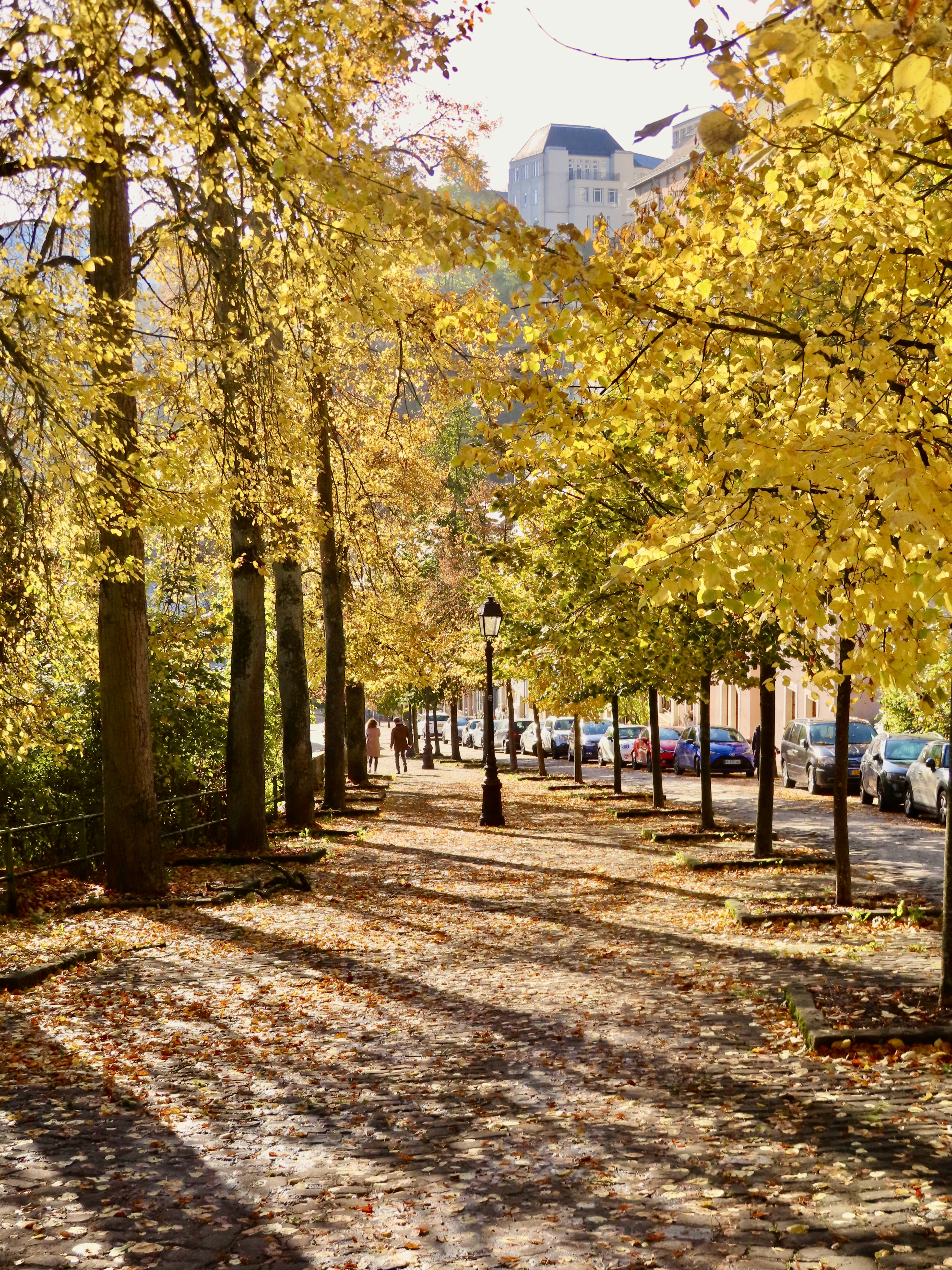 Photo by thom_reijnders